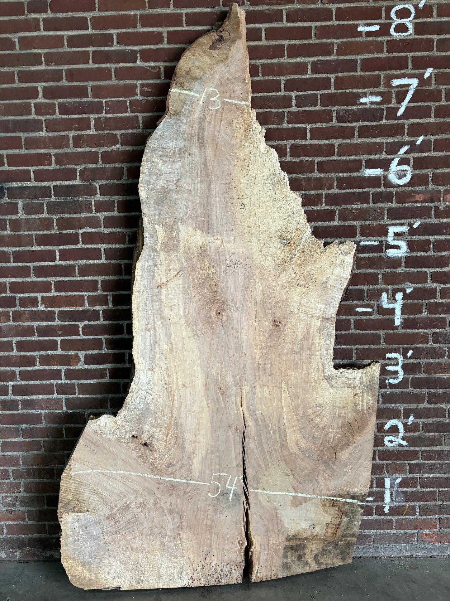 Maple Slab SIVLKT0045
