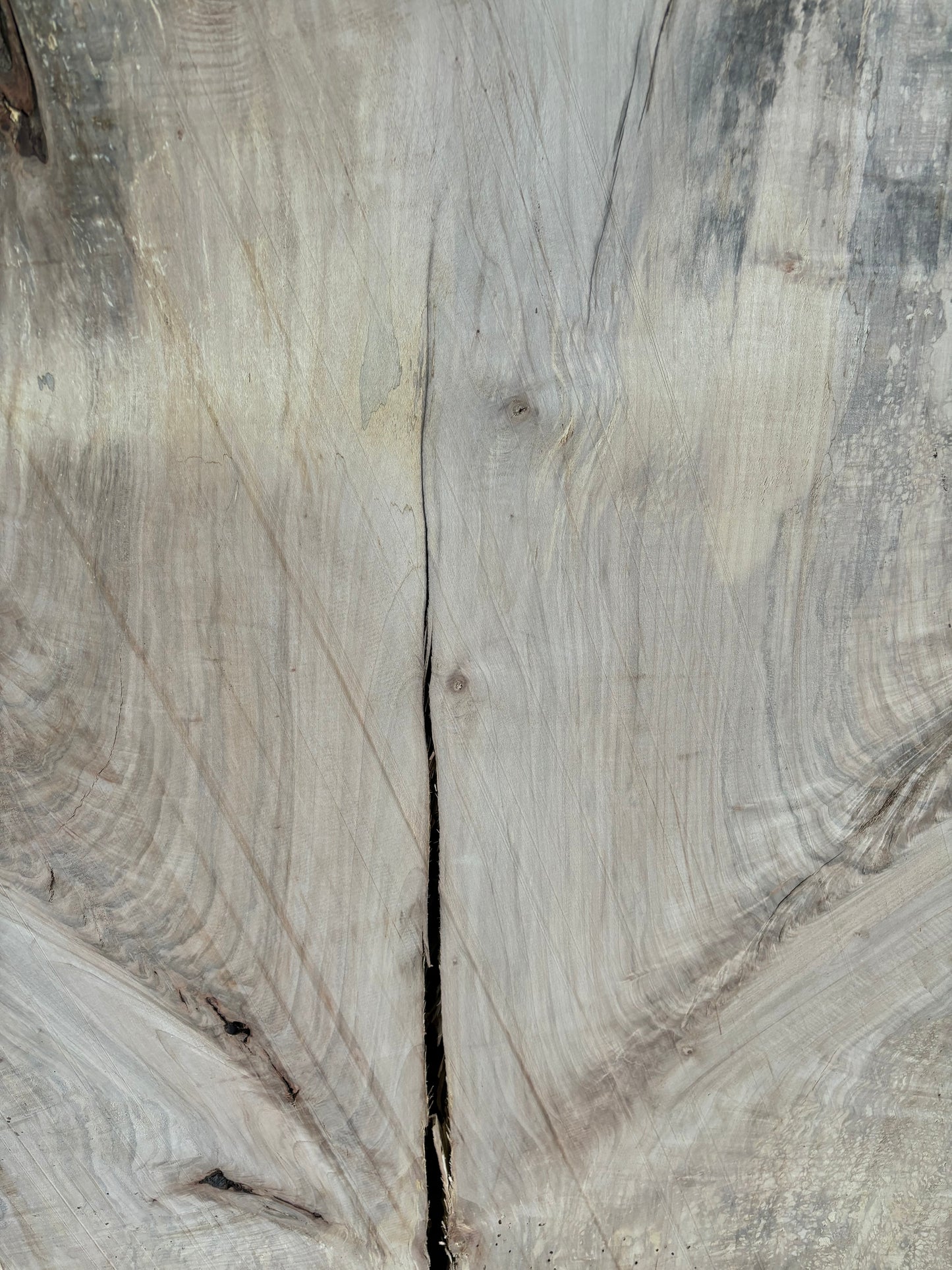 Maple Slab SIVLKT0045