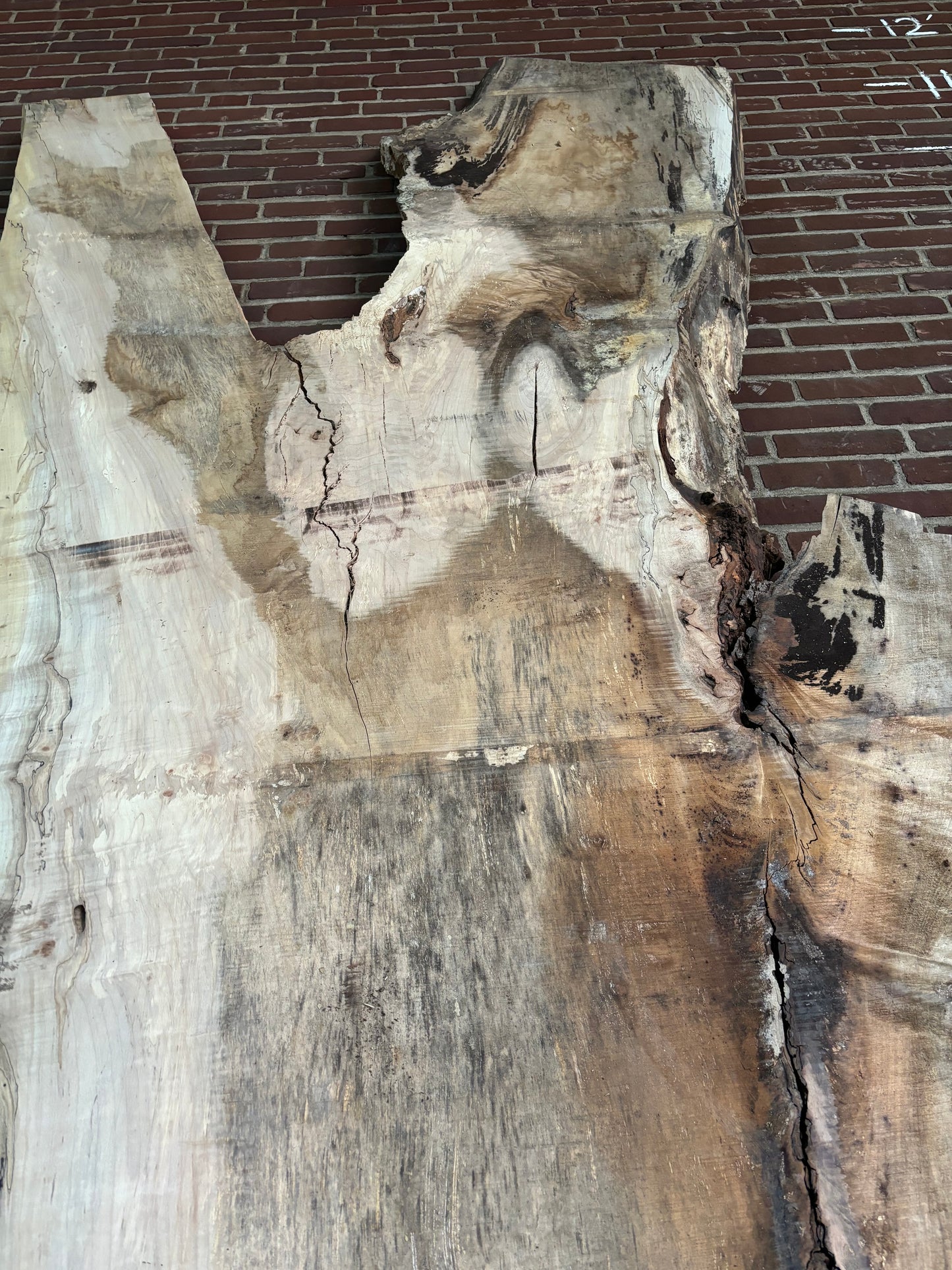 Maple Slab SIVLKT0053