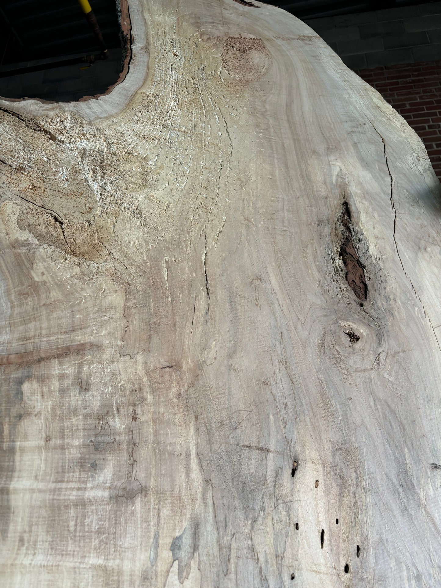 Maple Slab SIVLKT0046