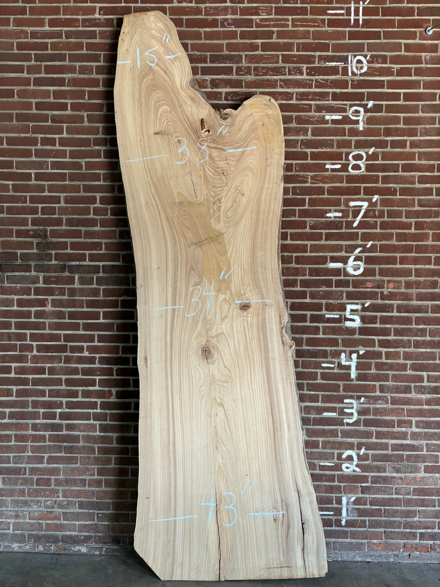 Elm Slab SIVLKT0115