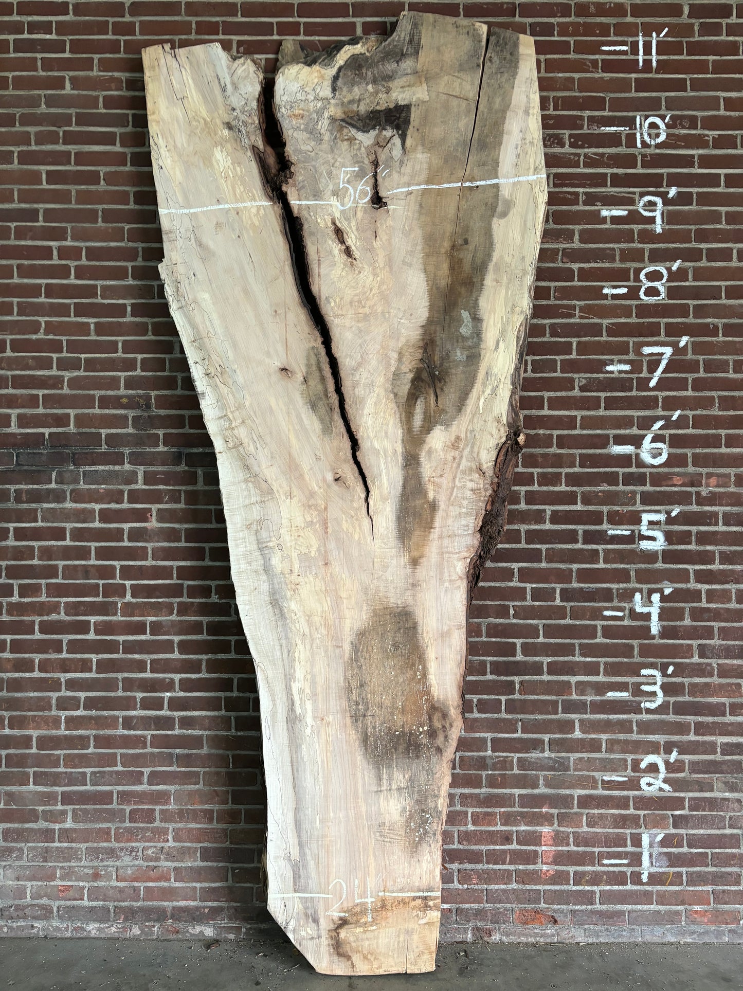 Maple Slab SIVLKT0054