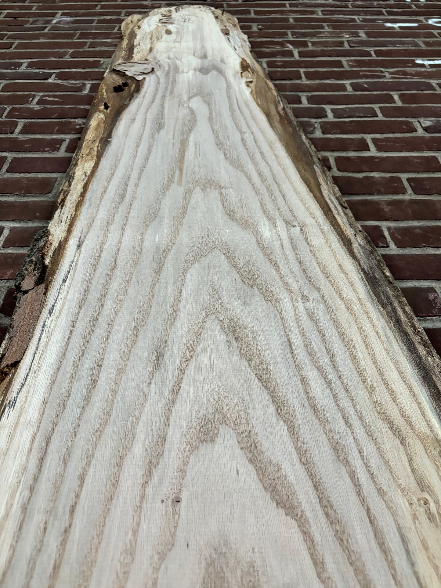 Ash Slab SIVLKT0072