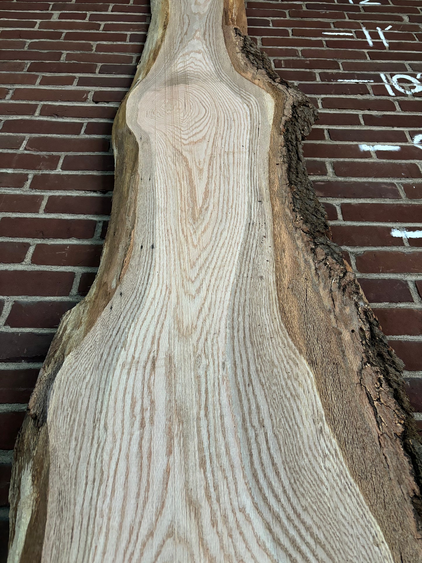 Red Oak Slab SIVLKT0014