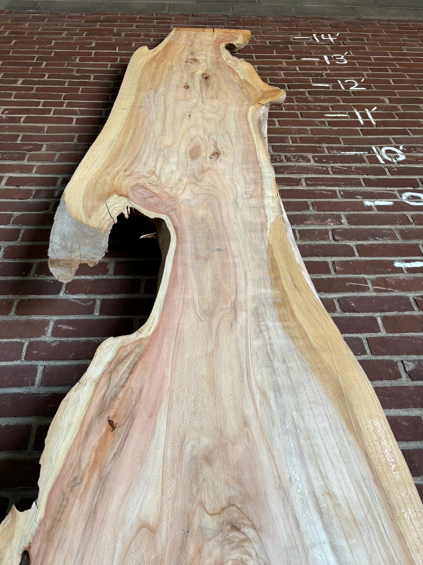 Cedar Slab SIVLKT0083