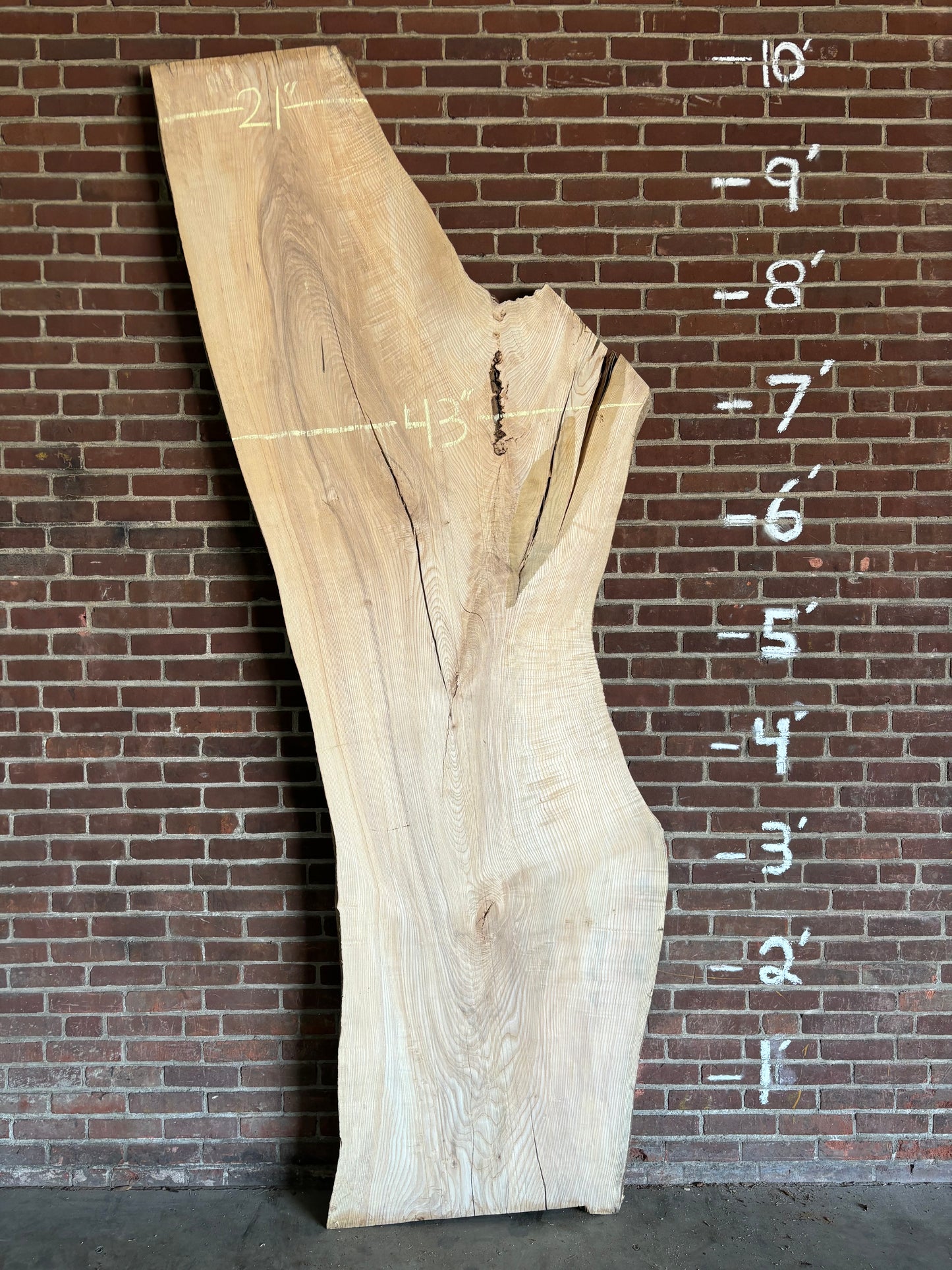 Ash Slab SIVLKT0032