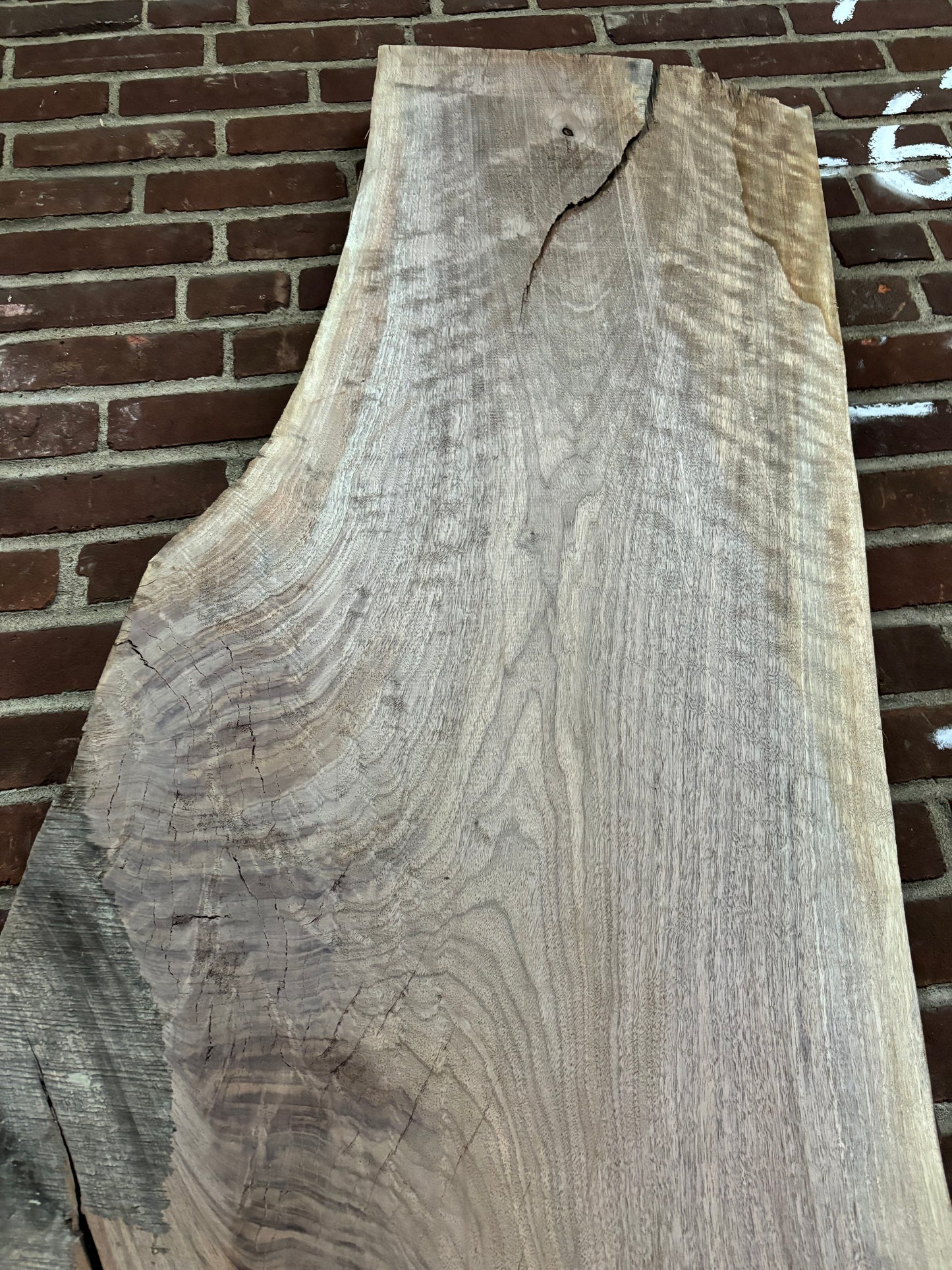 Eastern Black Walnut Slab SIVLKT0064