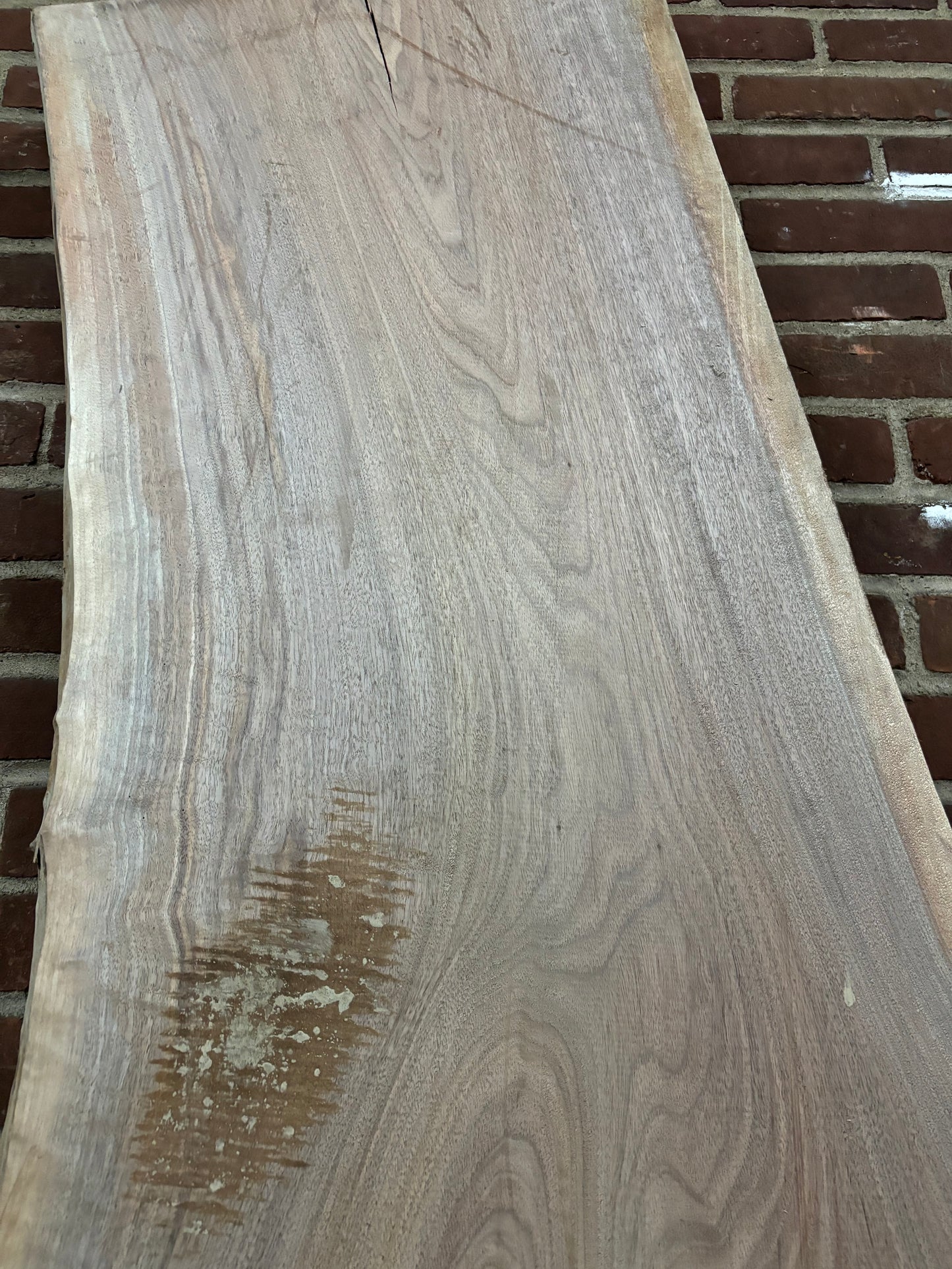 Eastern Black Walnut Slab SIVLKT0057