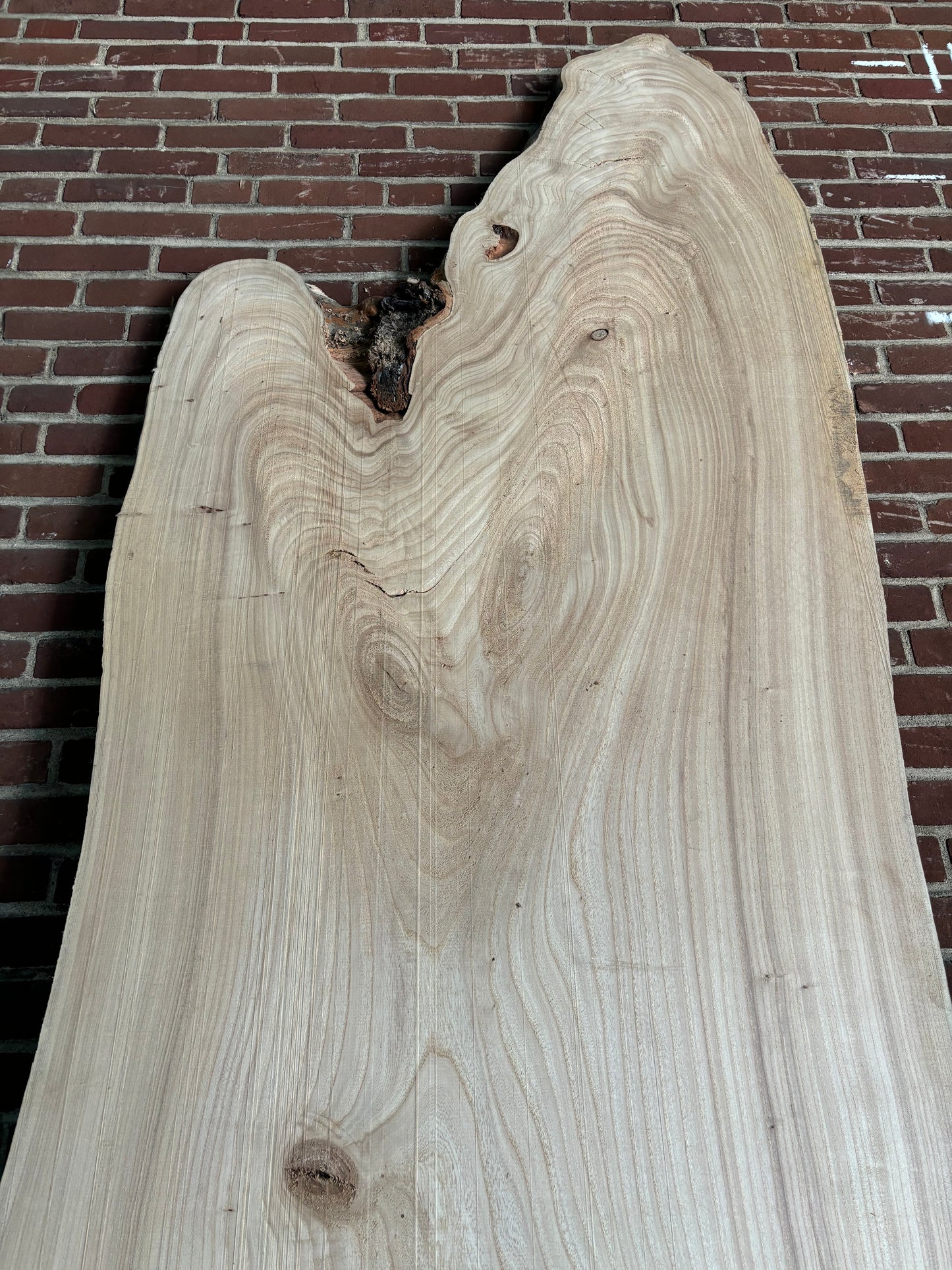 Elm Slab SIVLKT0115