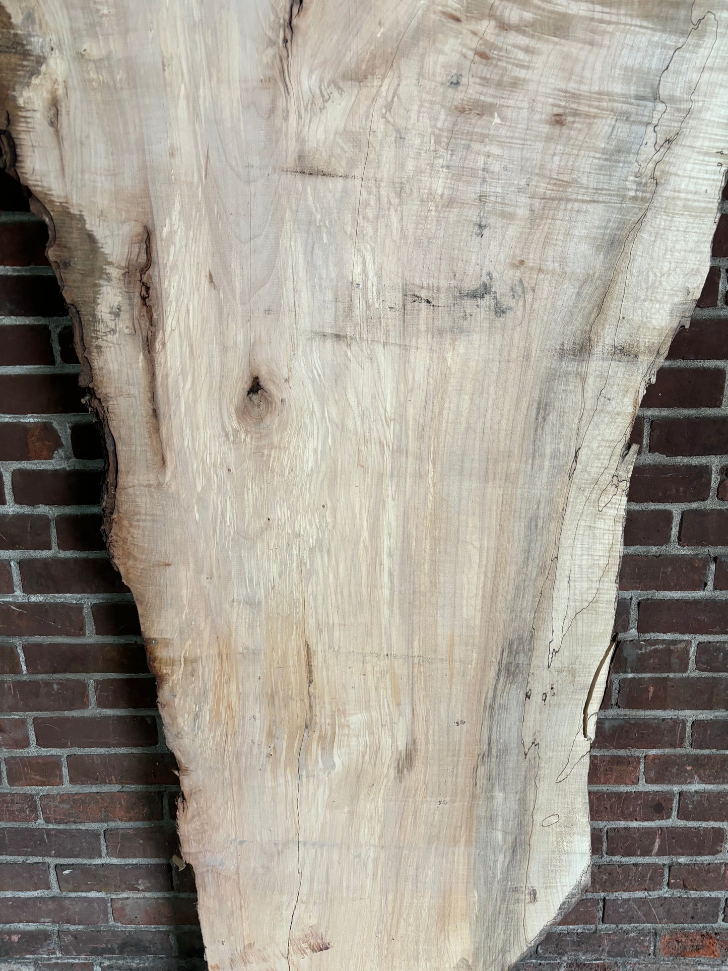 Maple Slab SIVLKT0054