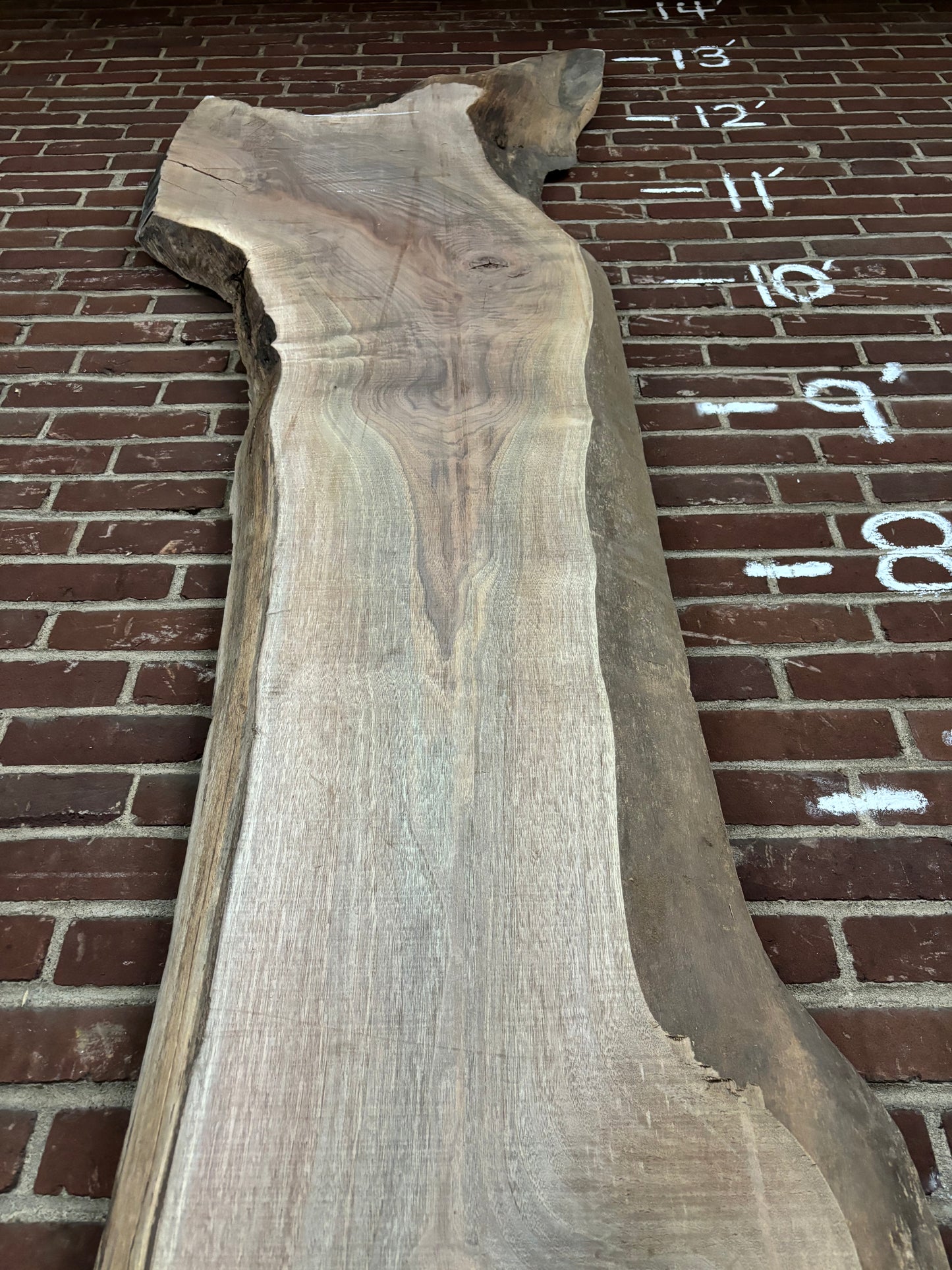 Eastern Black Walnut Slab SIVLKT0076