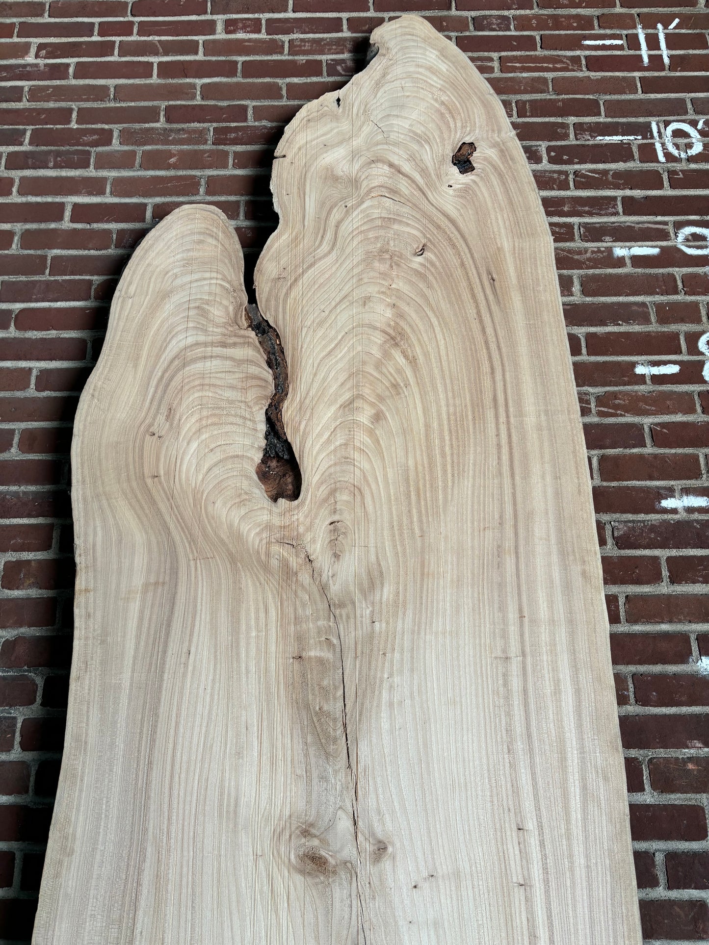 Elm Slab SIVLKT0114