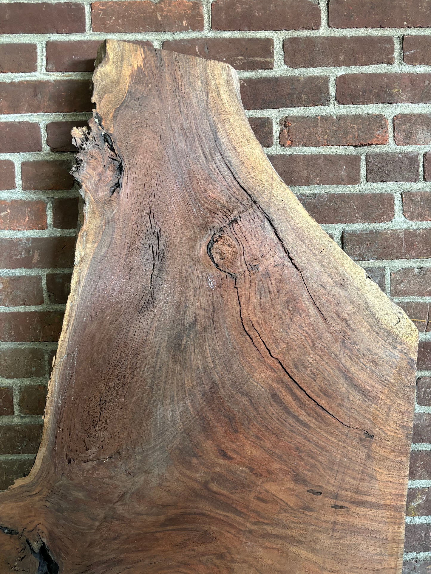 Eastern Black Walnut Slab SIVLKT0123