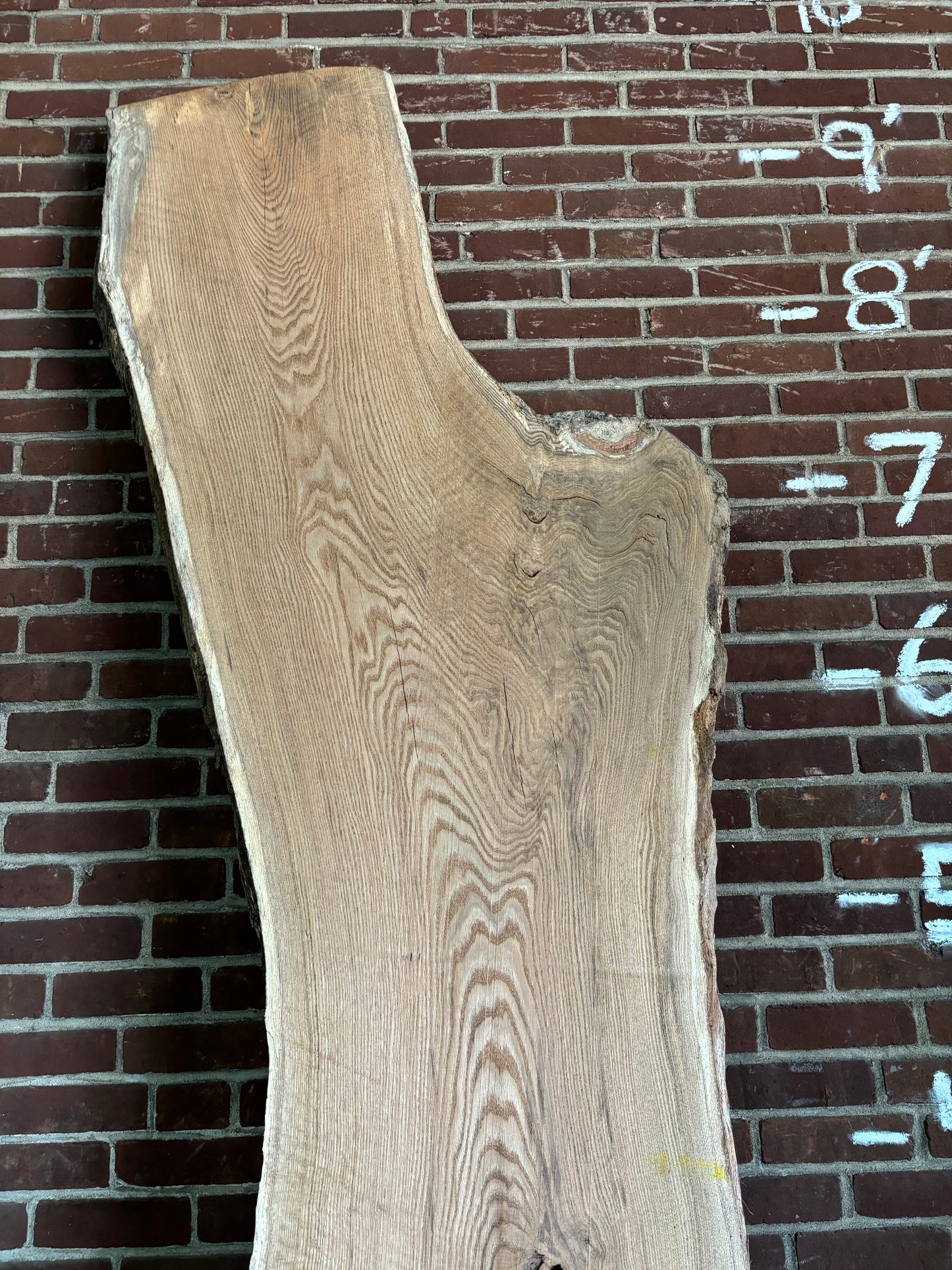 Red Oak Slab SIVLKT0137