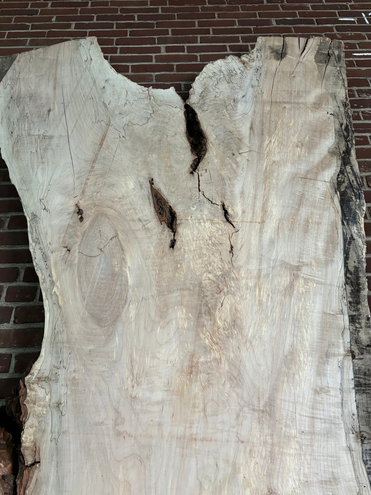 Maple Slab SIVLKT0052