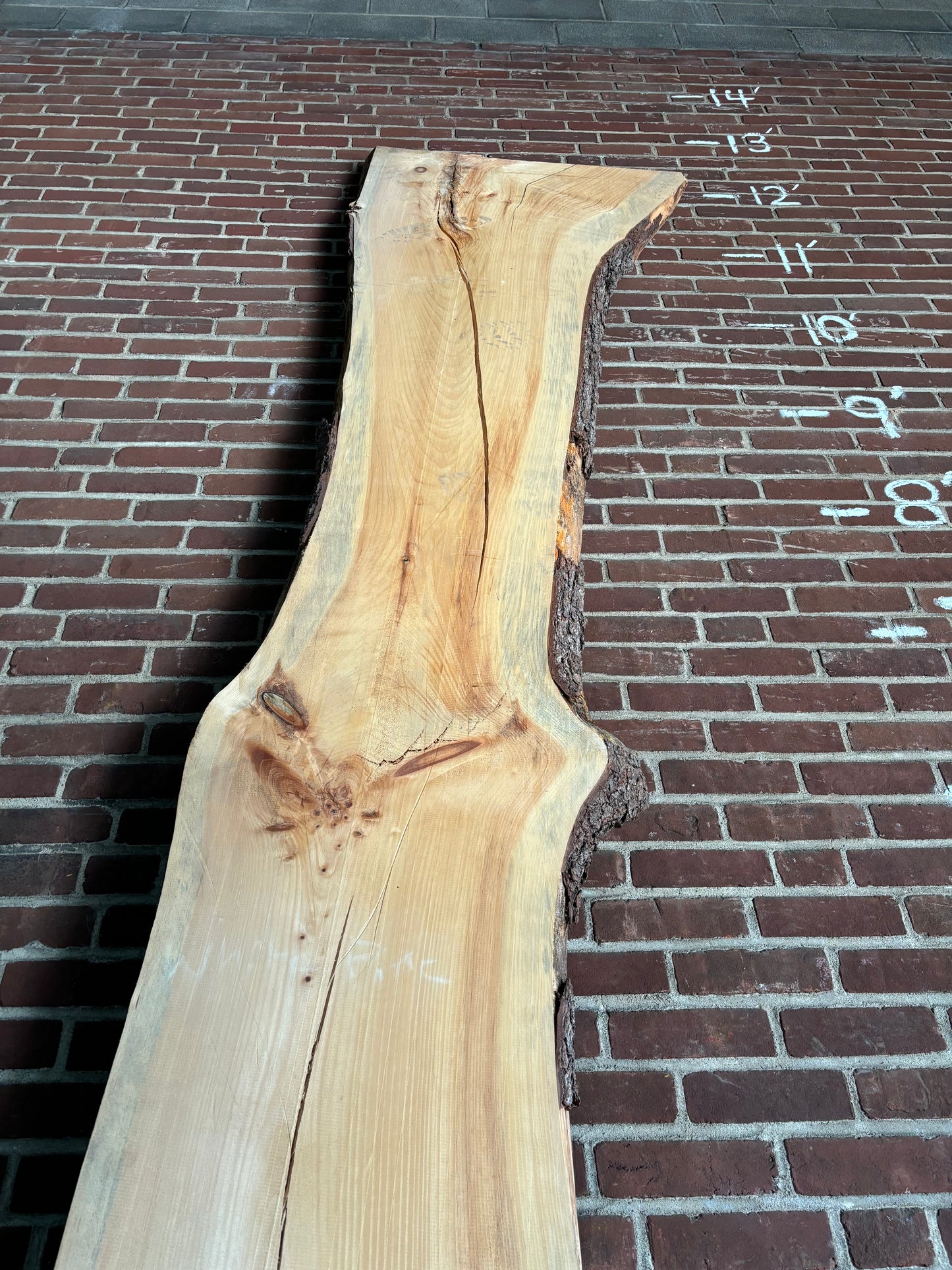 White Pine Slab SIVLKT0109