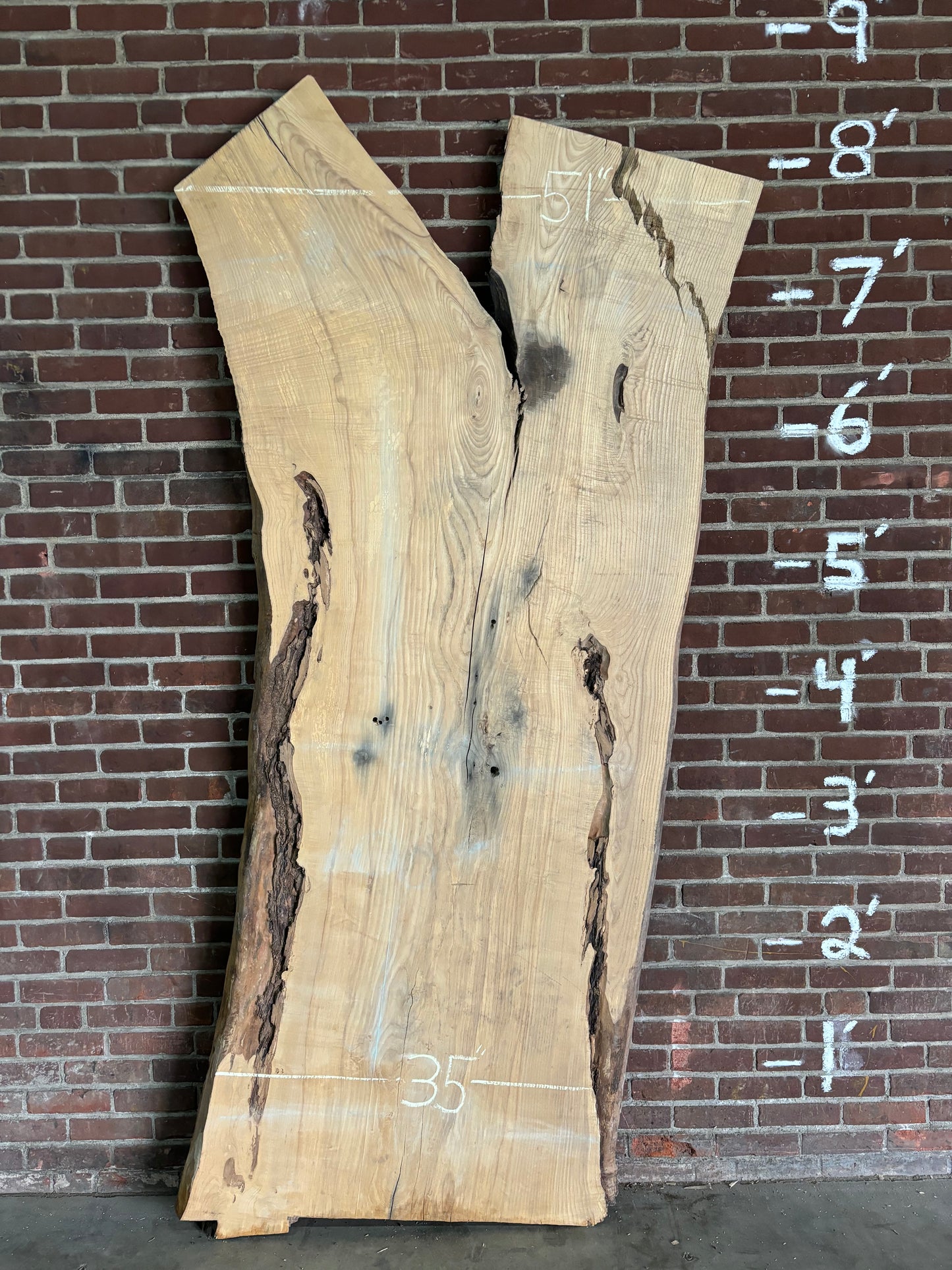 Ash Slab SIVLKT0051