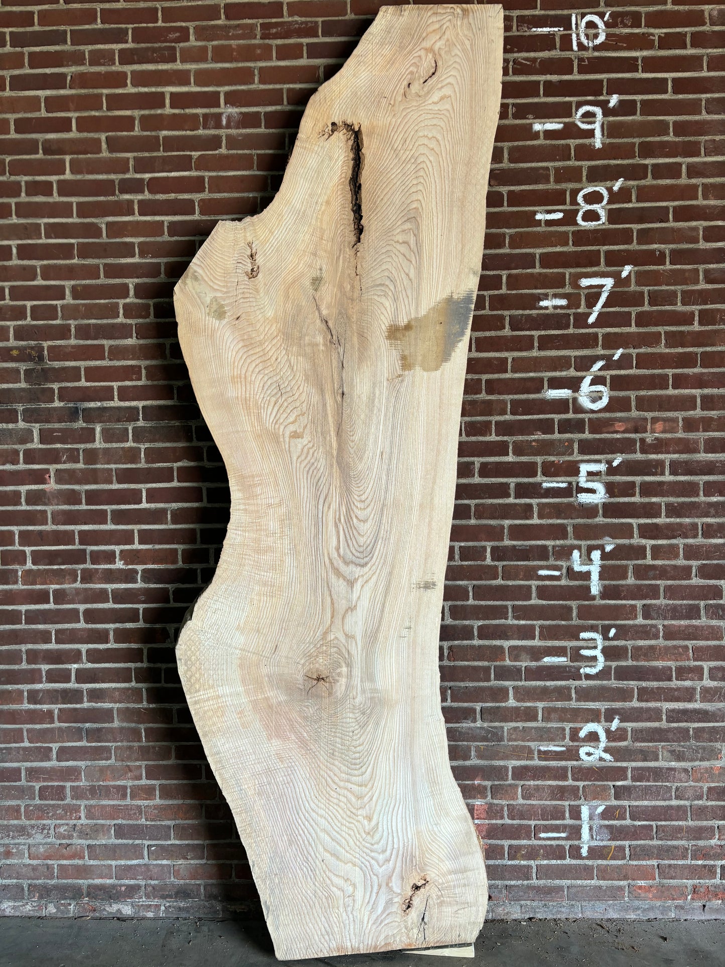 Ash Slab SIVLKT0034