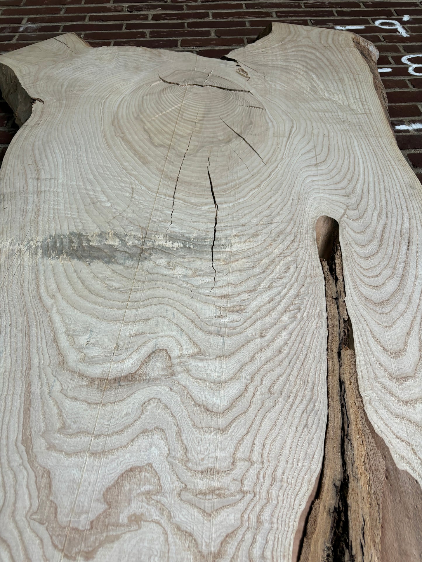 Ash Slab SIVLKT0048