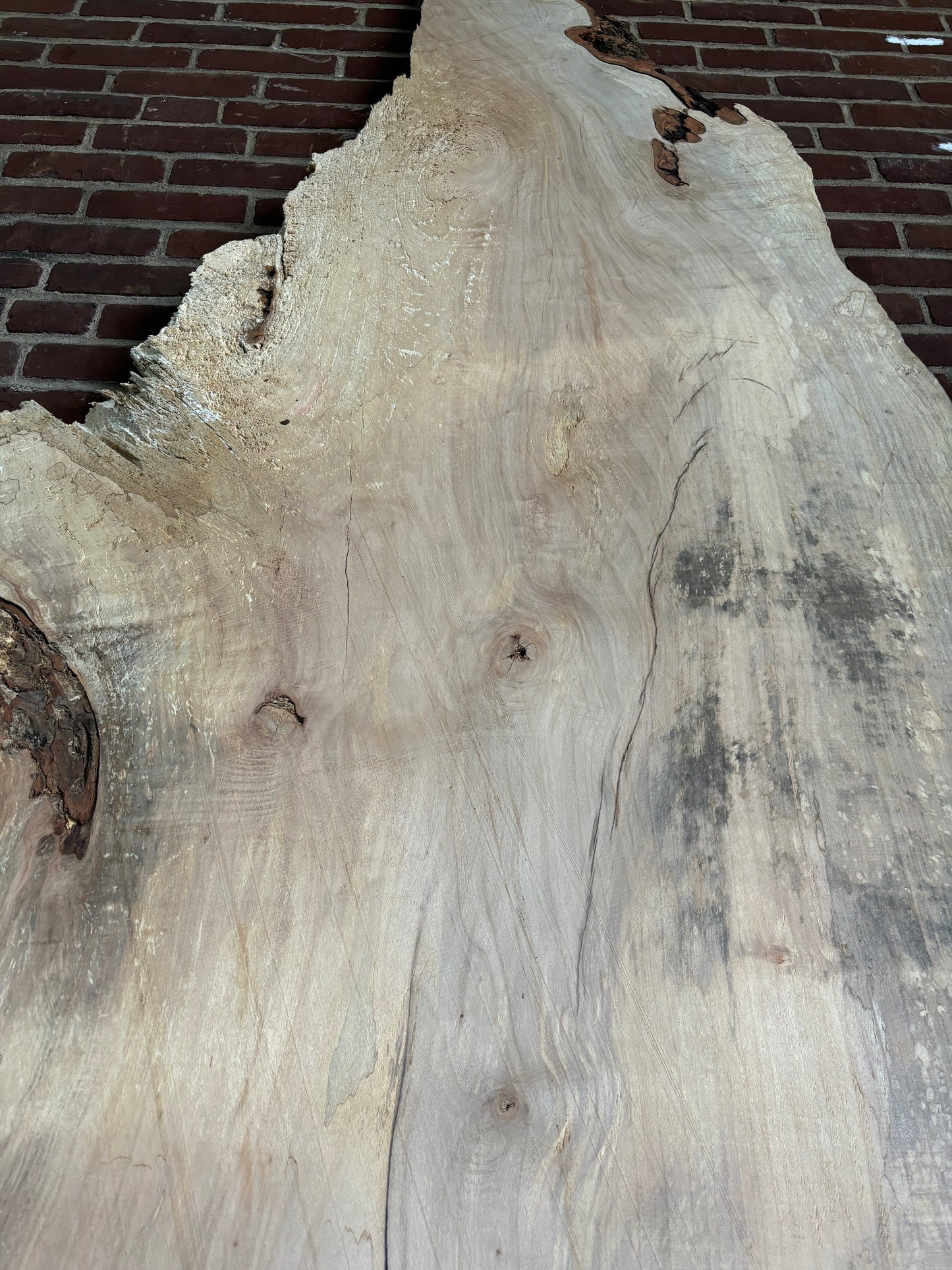 Maple Slab SIVLKT0045