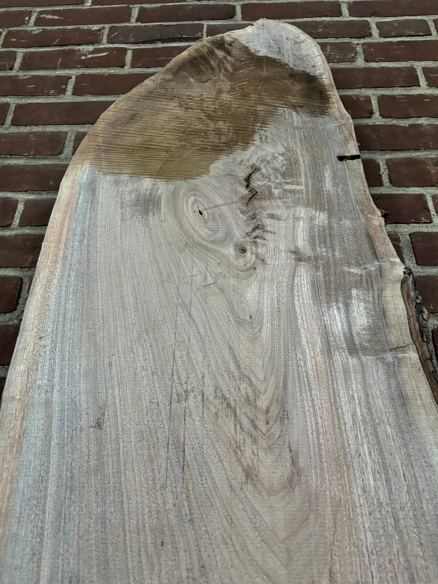 Eastern Black Walnut Slab SIVLKT0065