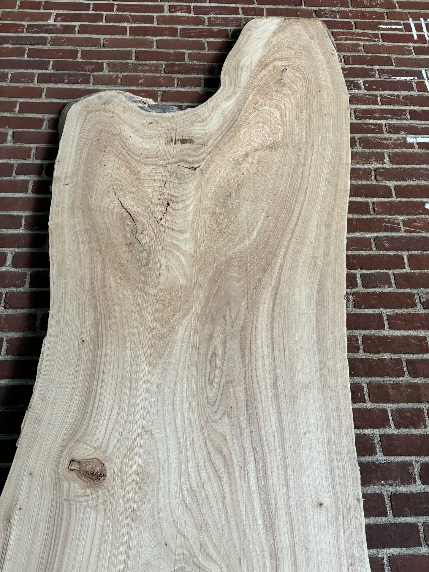 Elm Slab SIVLKT0116