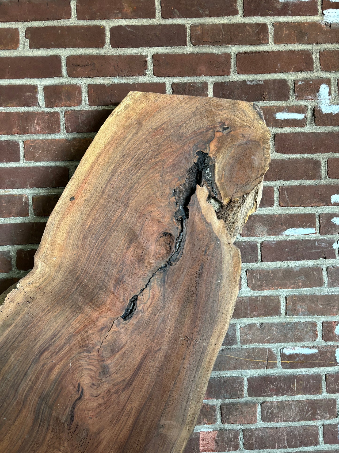 Eastern Black Walnut Slab SIVLKT0124