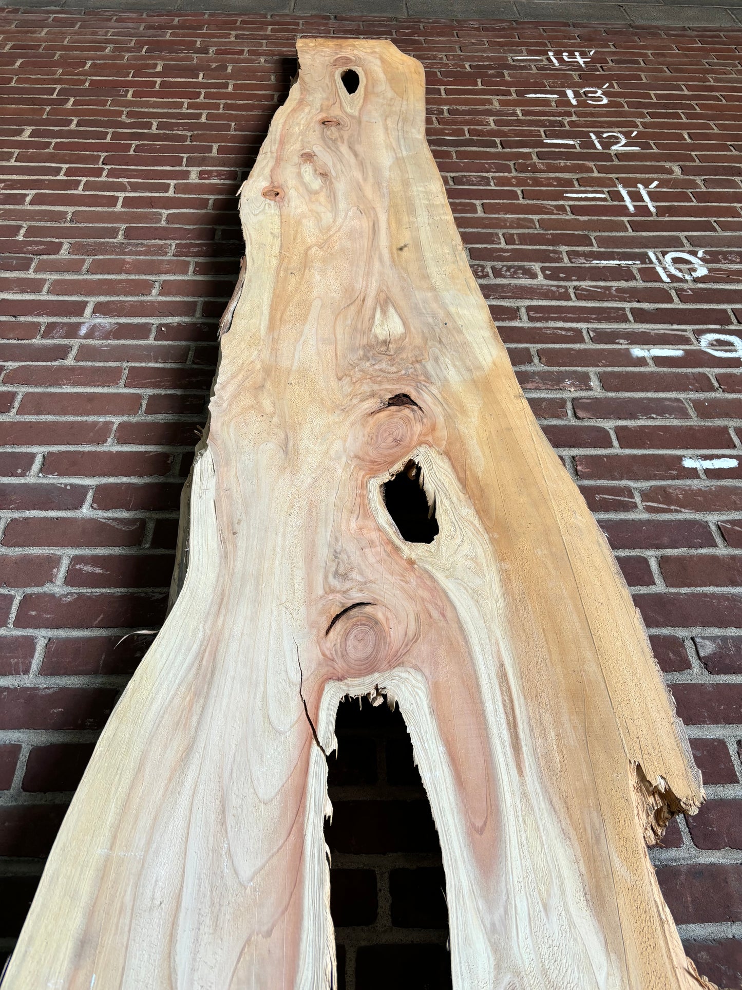 Cedar Slab SIVLKT0085