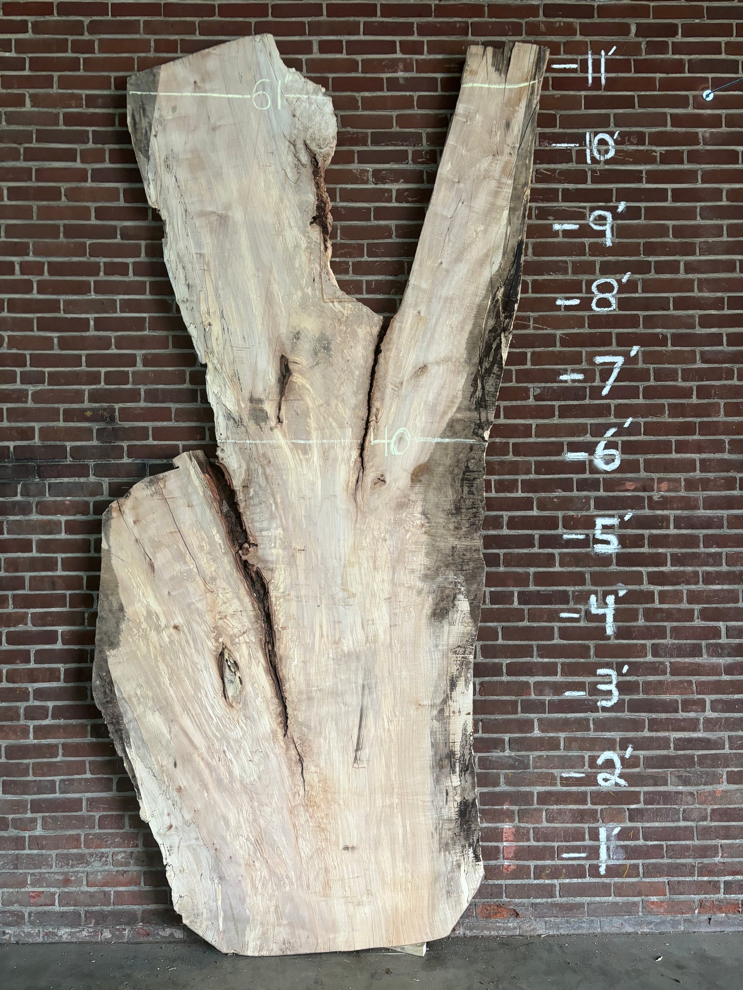 Maple Slab SIVLKT0053