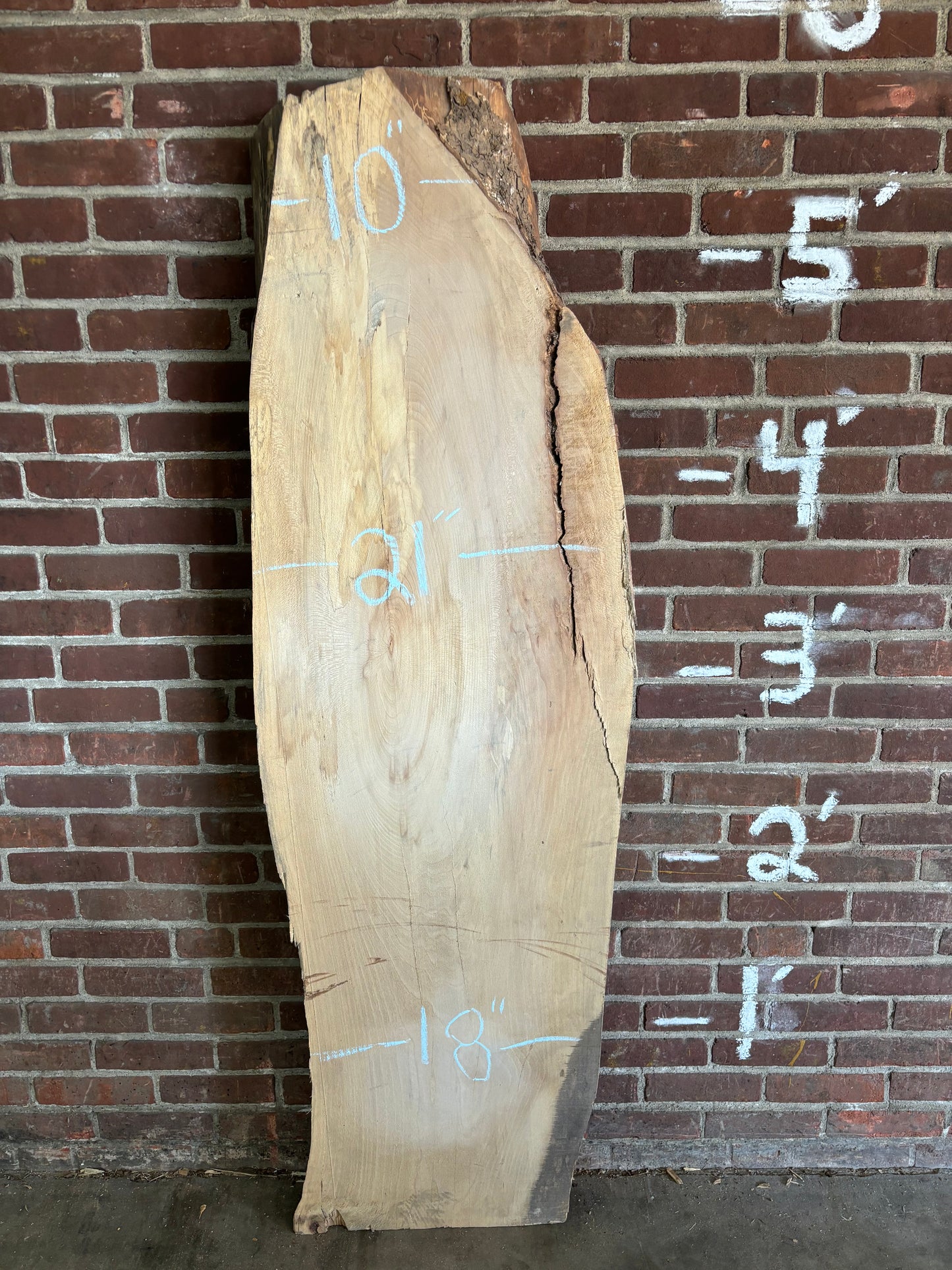 Sycamore Slab SIVLKT0122