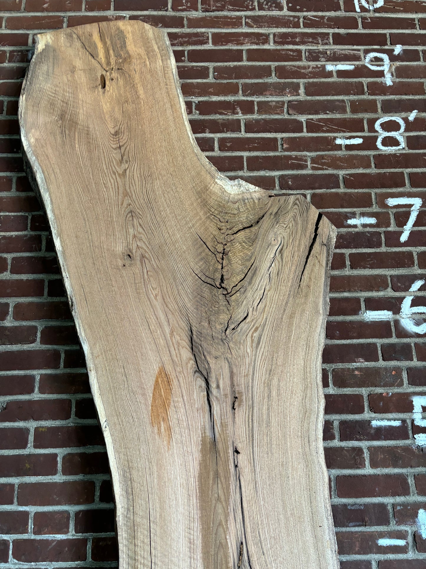 Red Oak Slab SIVLKT0136