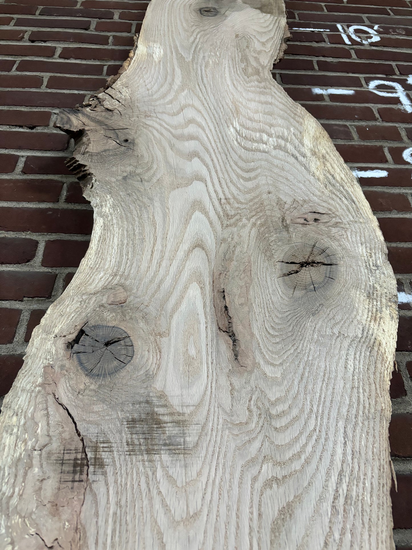 Red Oak Slab SIVLKT0013