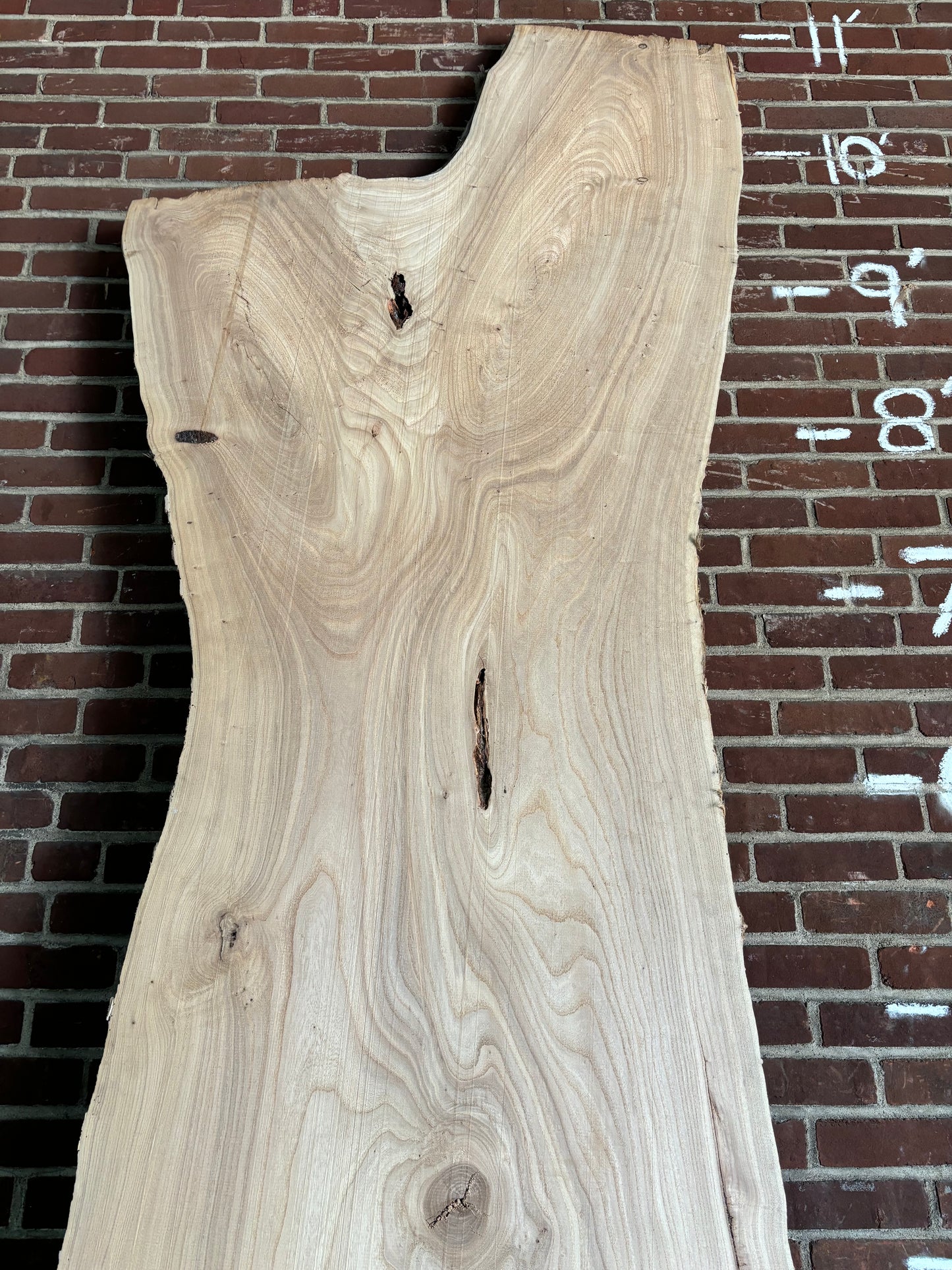 Elm Slab SIVLKT0117
