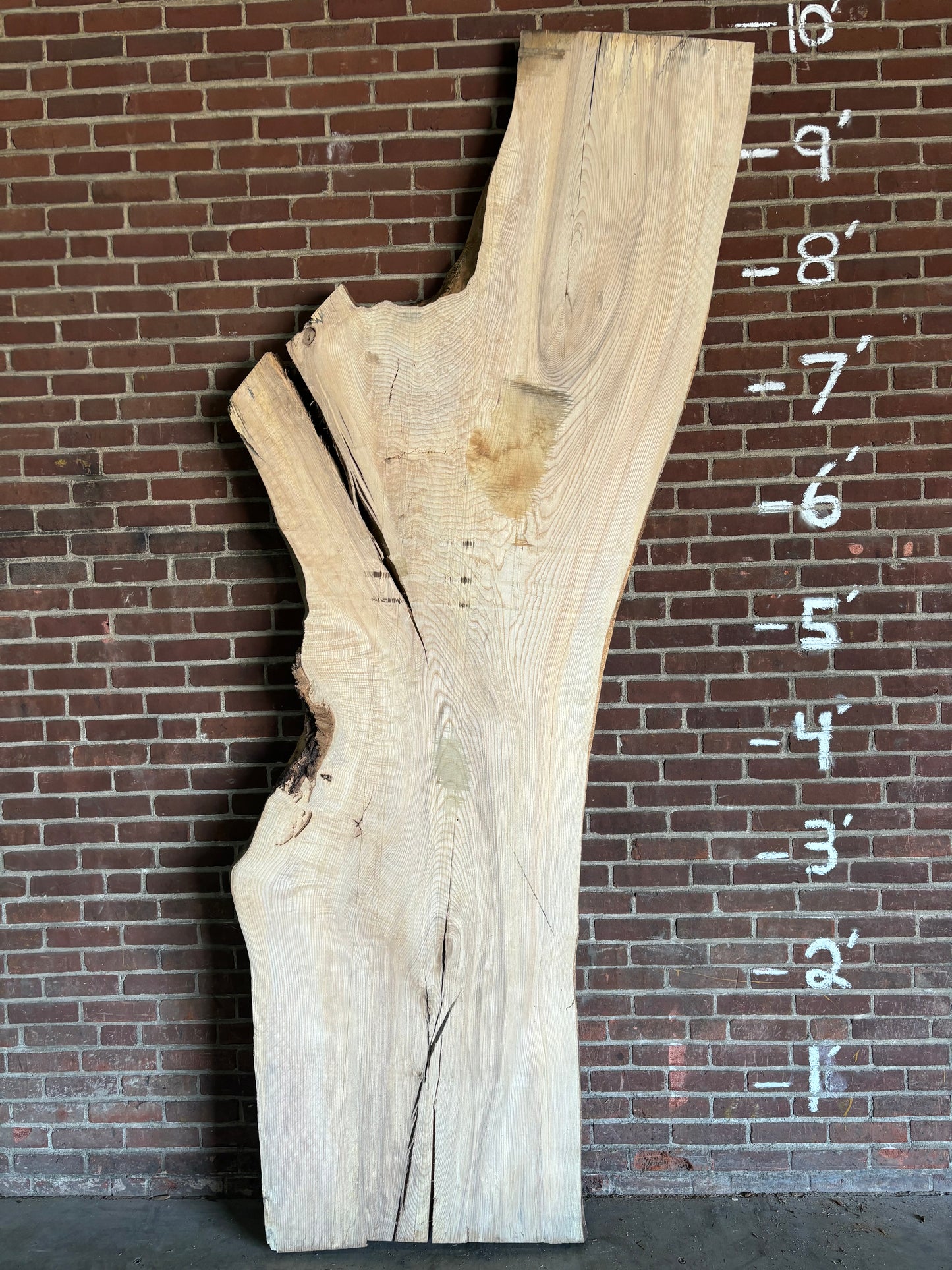 Ash Slab SIVLKT0031
