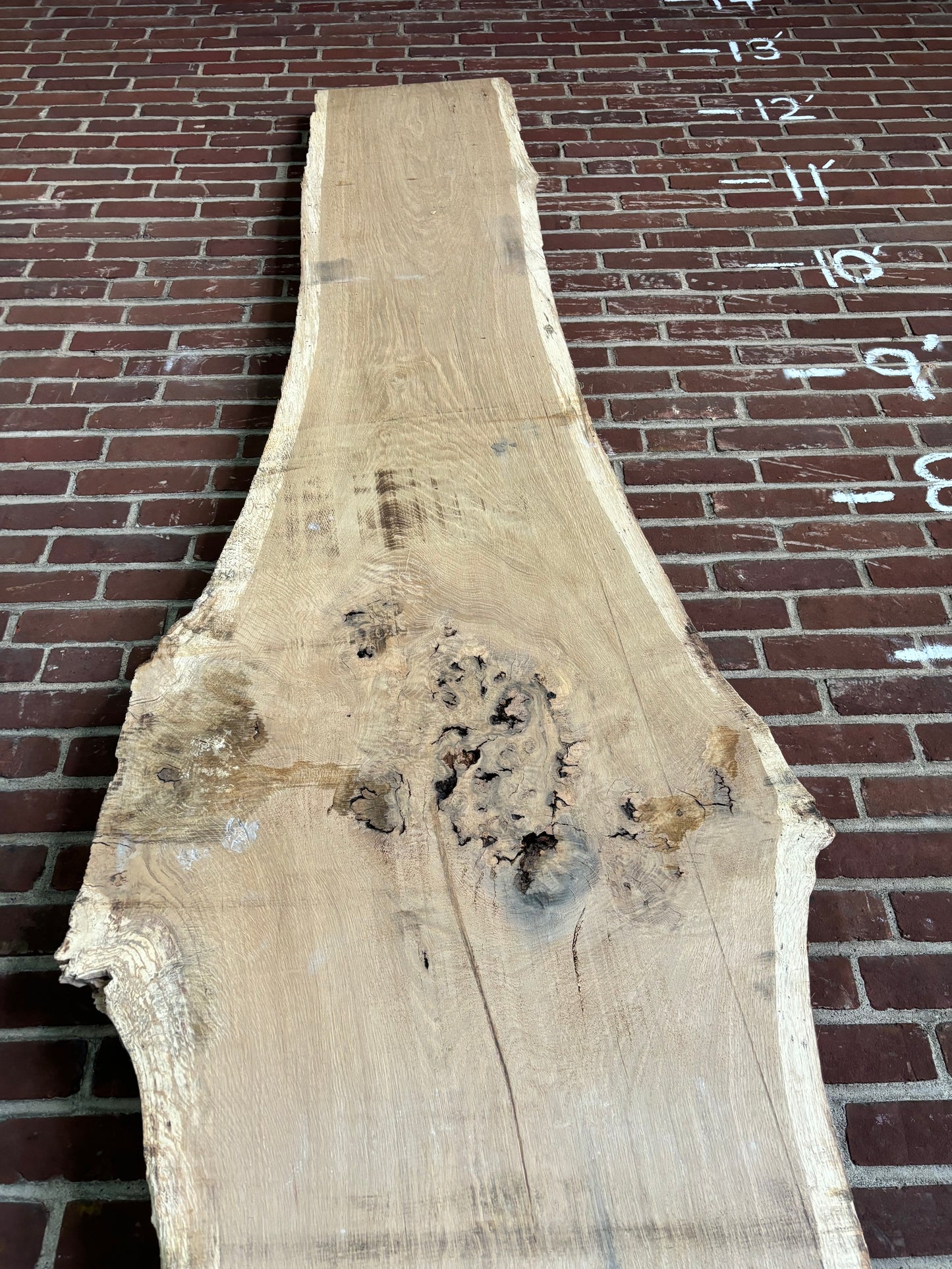 White Oak Slab SIVLKT0146