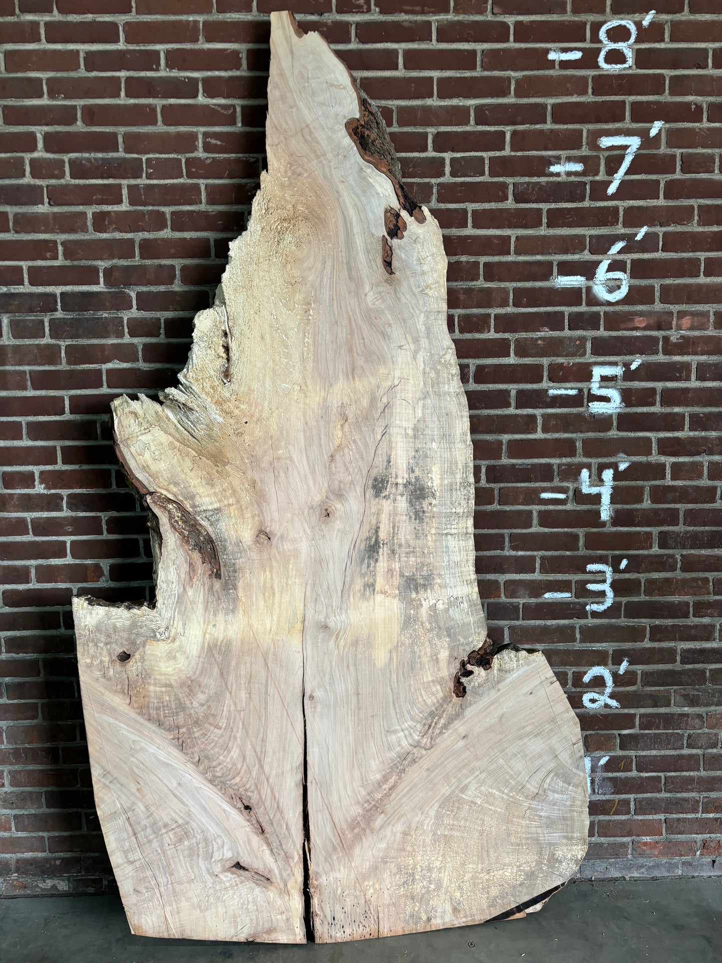 Maple Slab SIVLKT0045