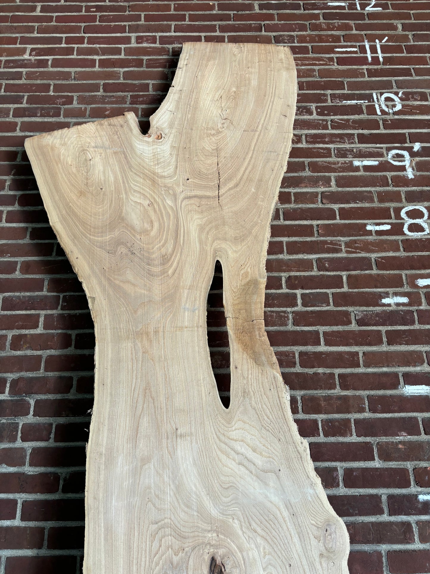 Elm Slab SIVLKT0118