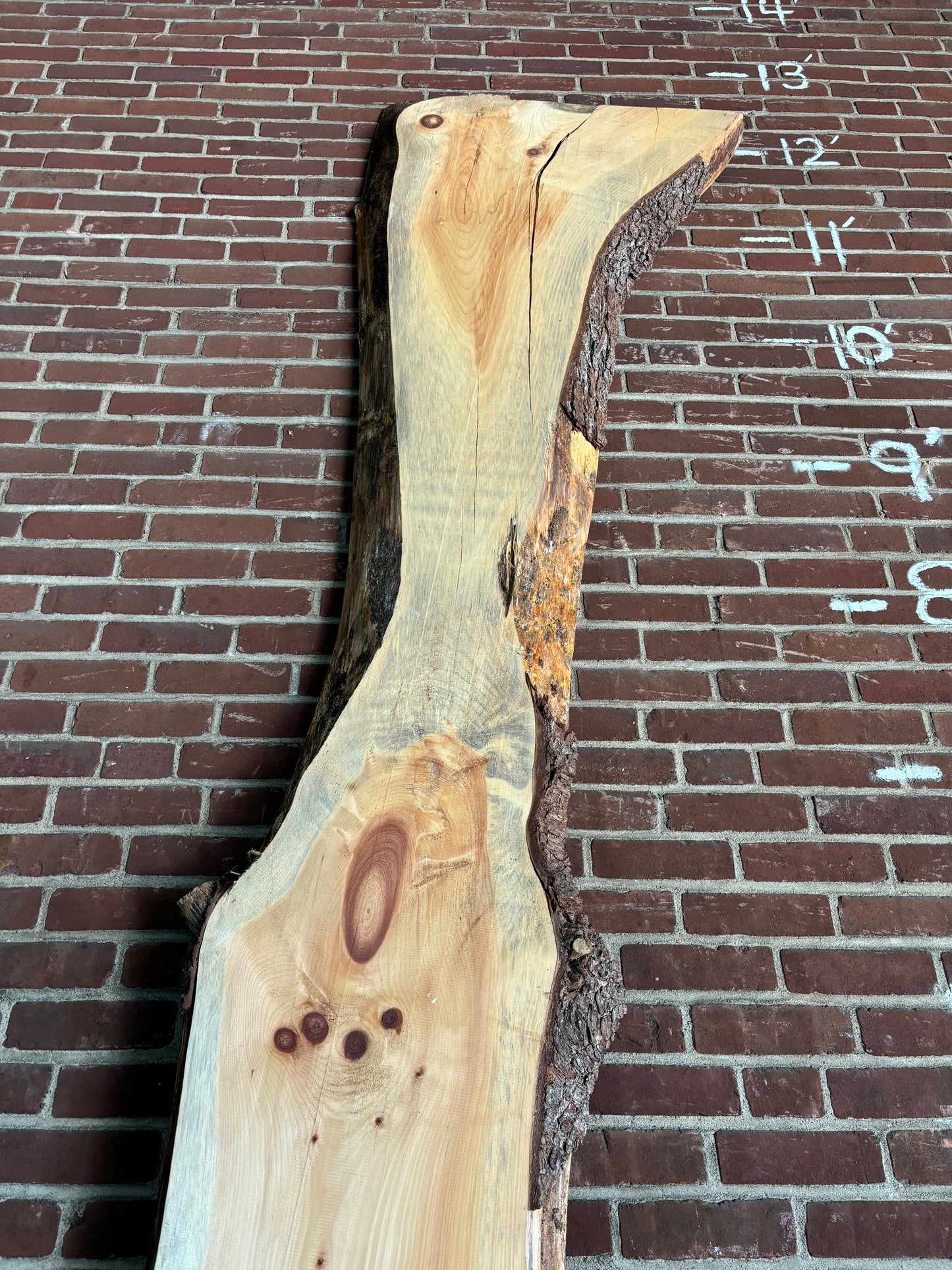 White Pine Slab SIVLKT0110