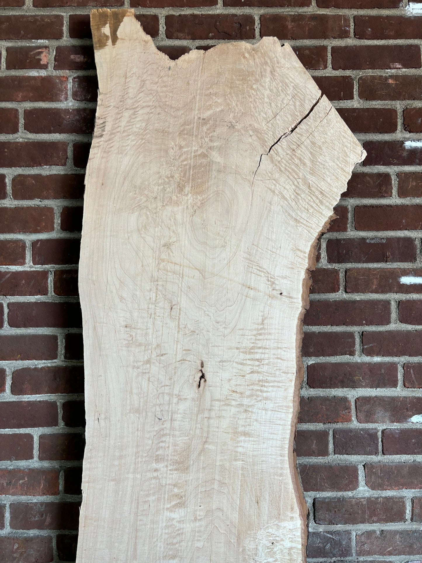 Maple Slab SIVLKT0126
