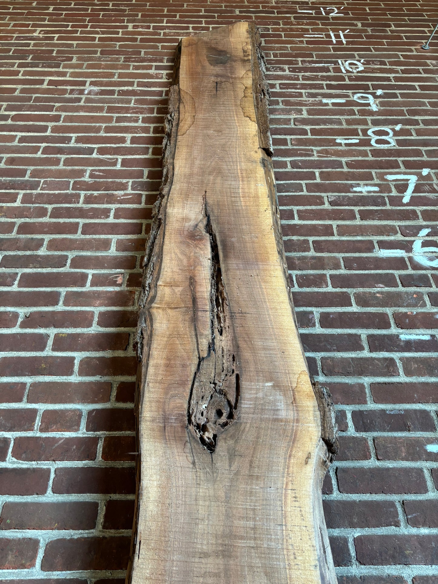 Eastern Black Walnut Slab SIVLKT0101