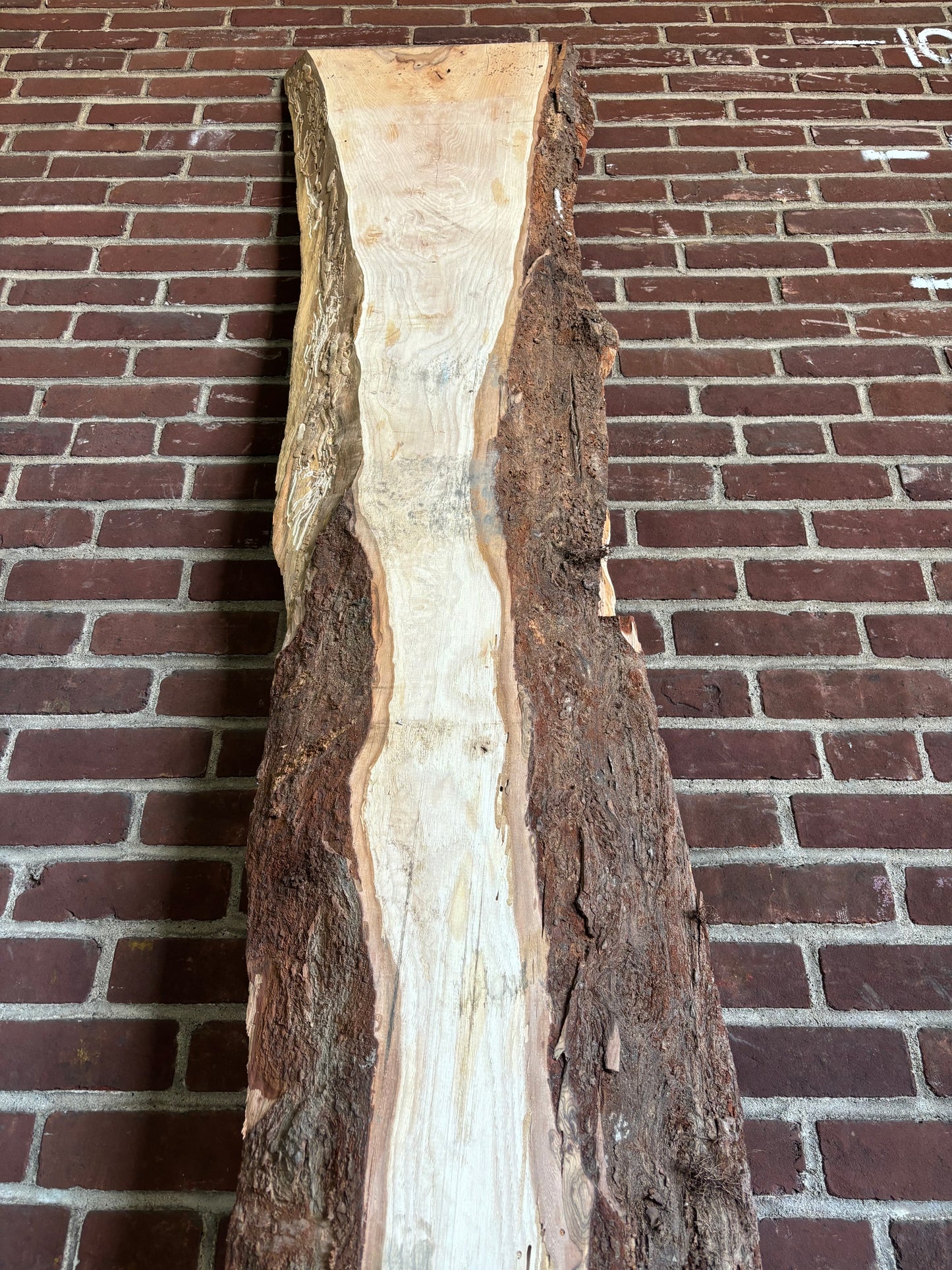 Maple Slab SIVLKT0088