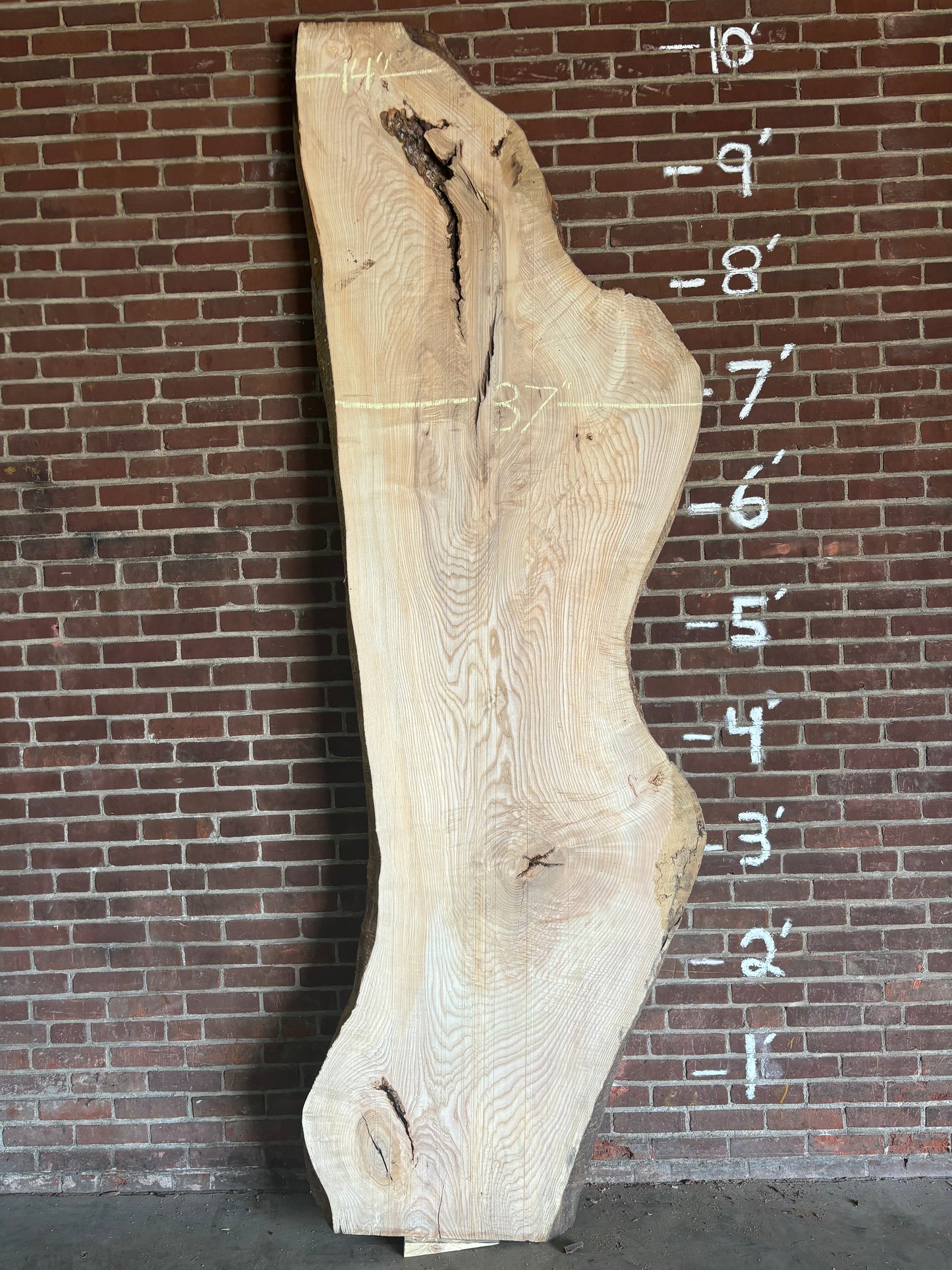 Ash Slab SIVLKT0034