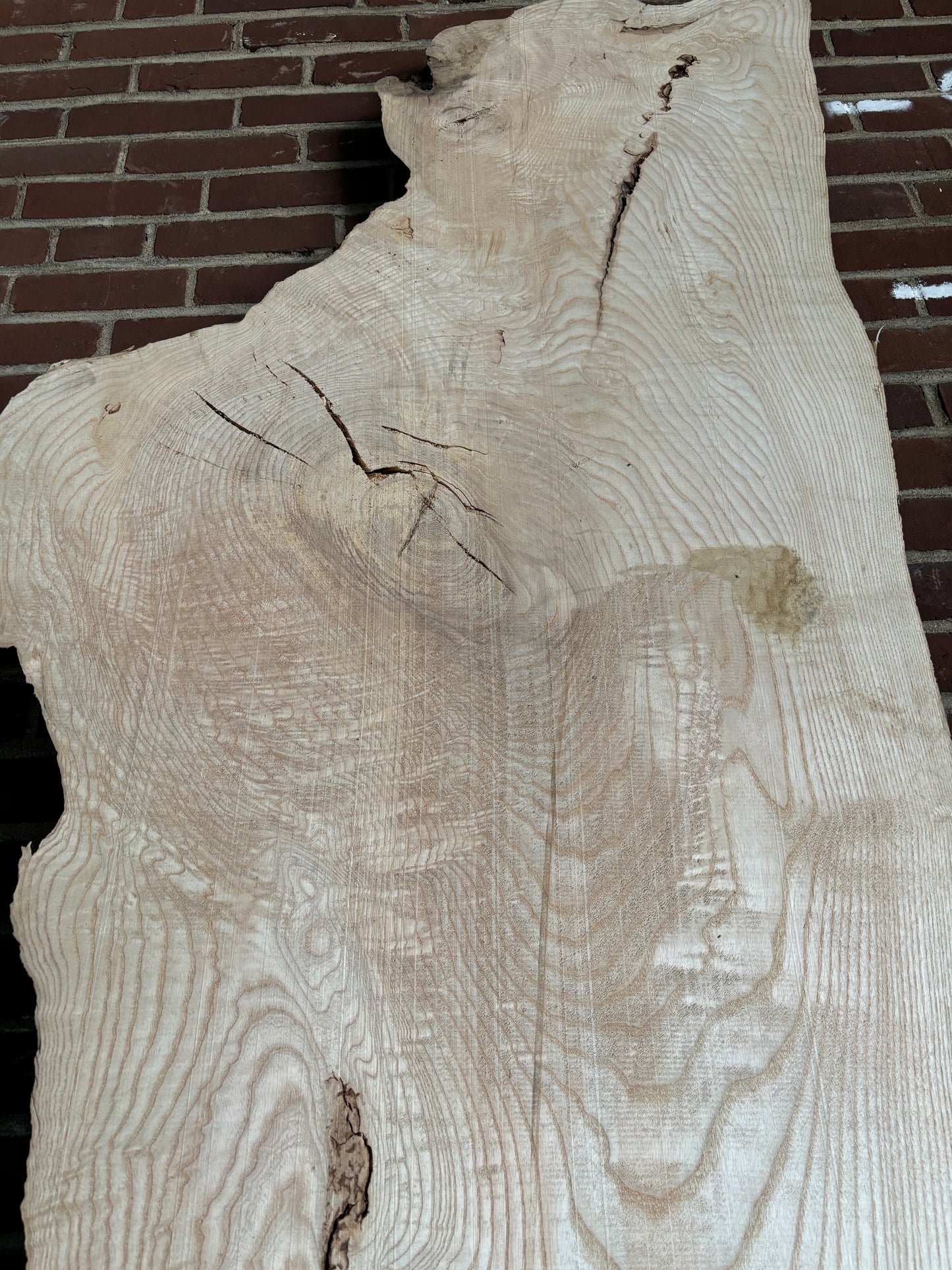 Ash Slab SIVLKT0036