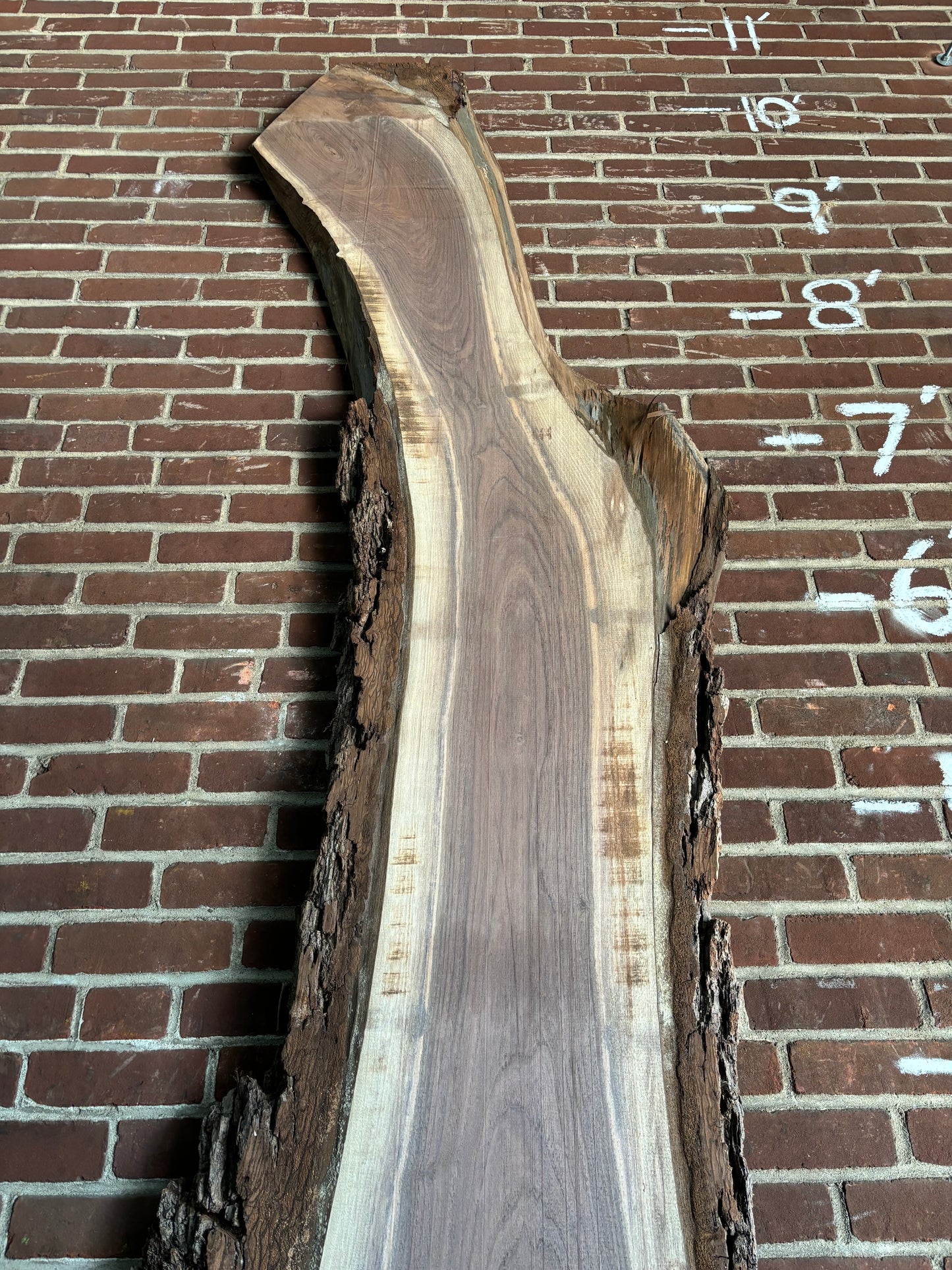 Eastern Black Walnut Slab SIVLKT0108