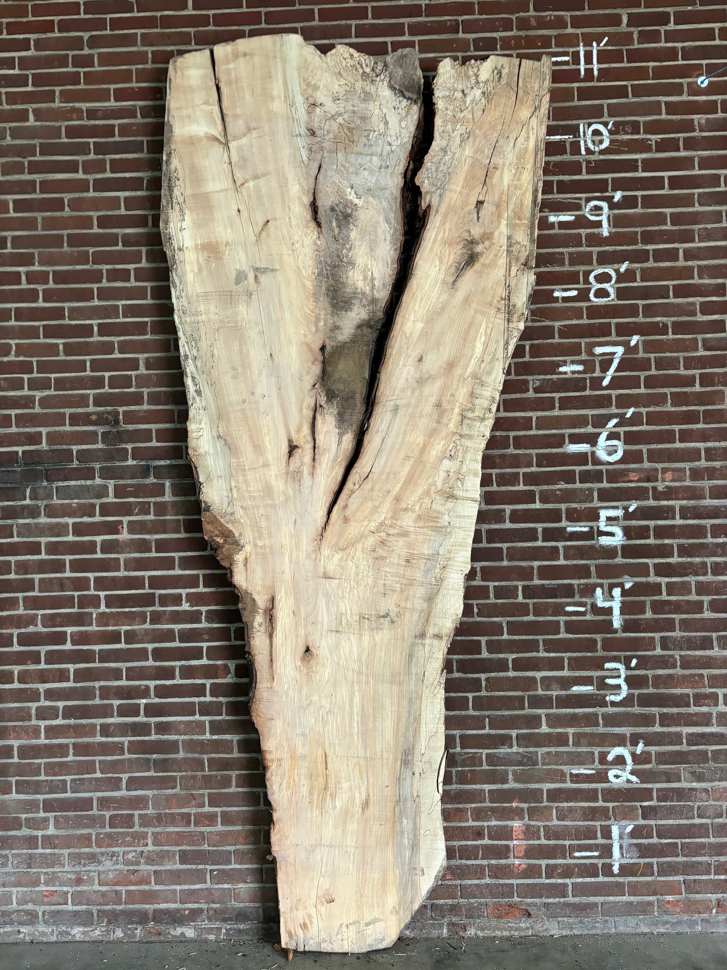 Maple Slab SIVLKT0054