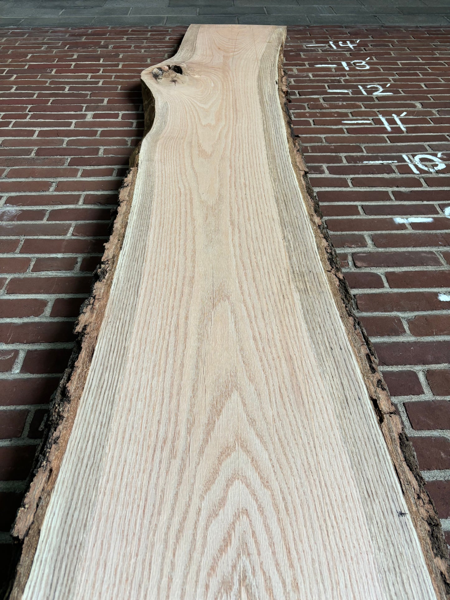 Red Oak Slab SIVLKT0028