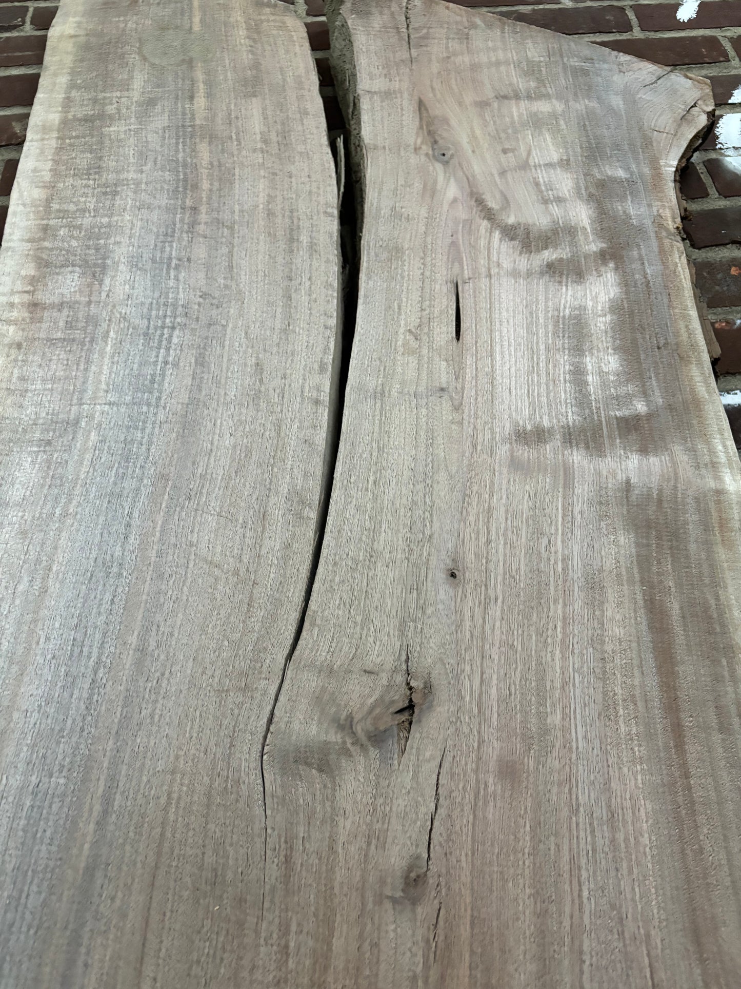 Eastern Black Walnut Slab SIVLKT0063
