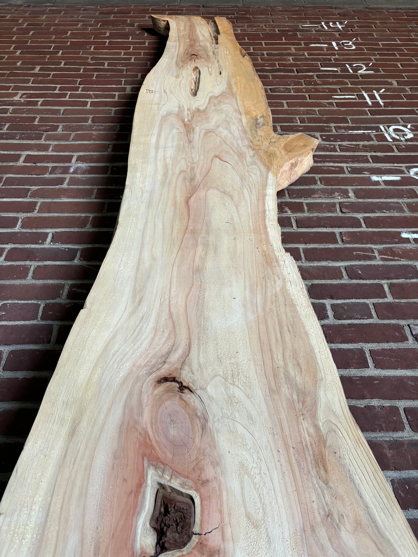 Cedar Slab SIVLKT0084