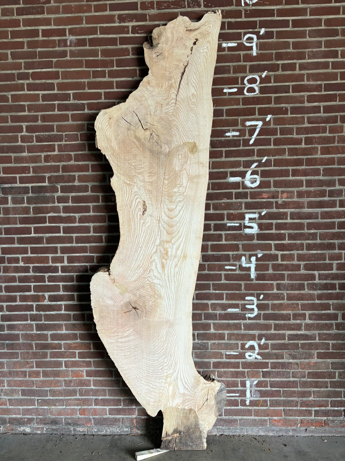 Ash Slab SIVLKT0036