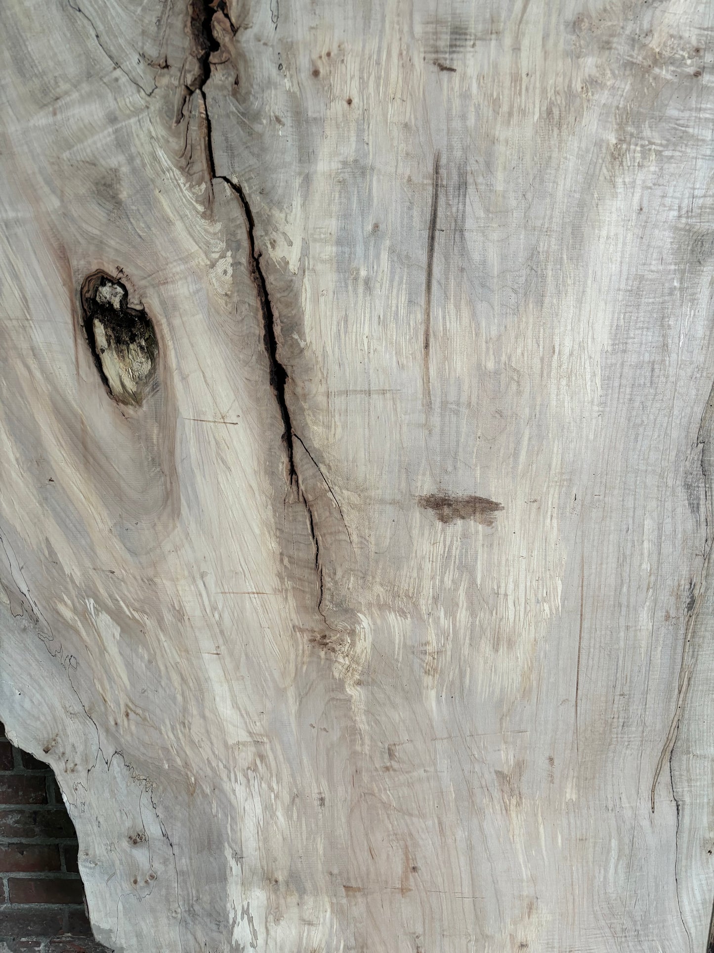 Maple Slab SIVLKT0052